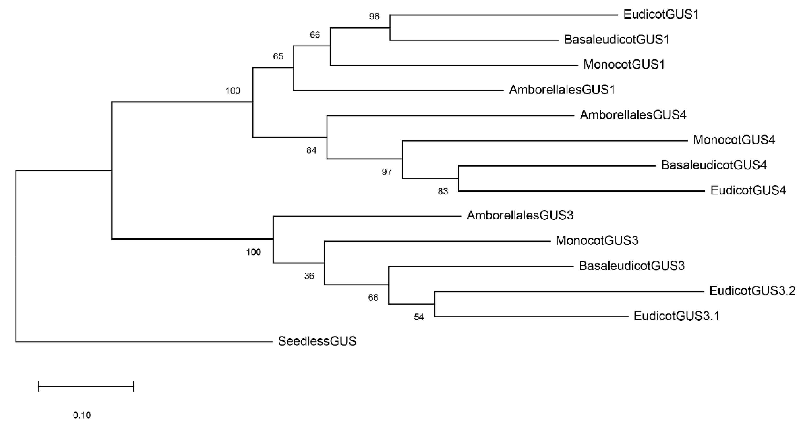 Plants 12 02051 g005