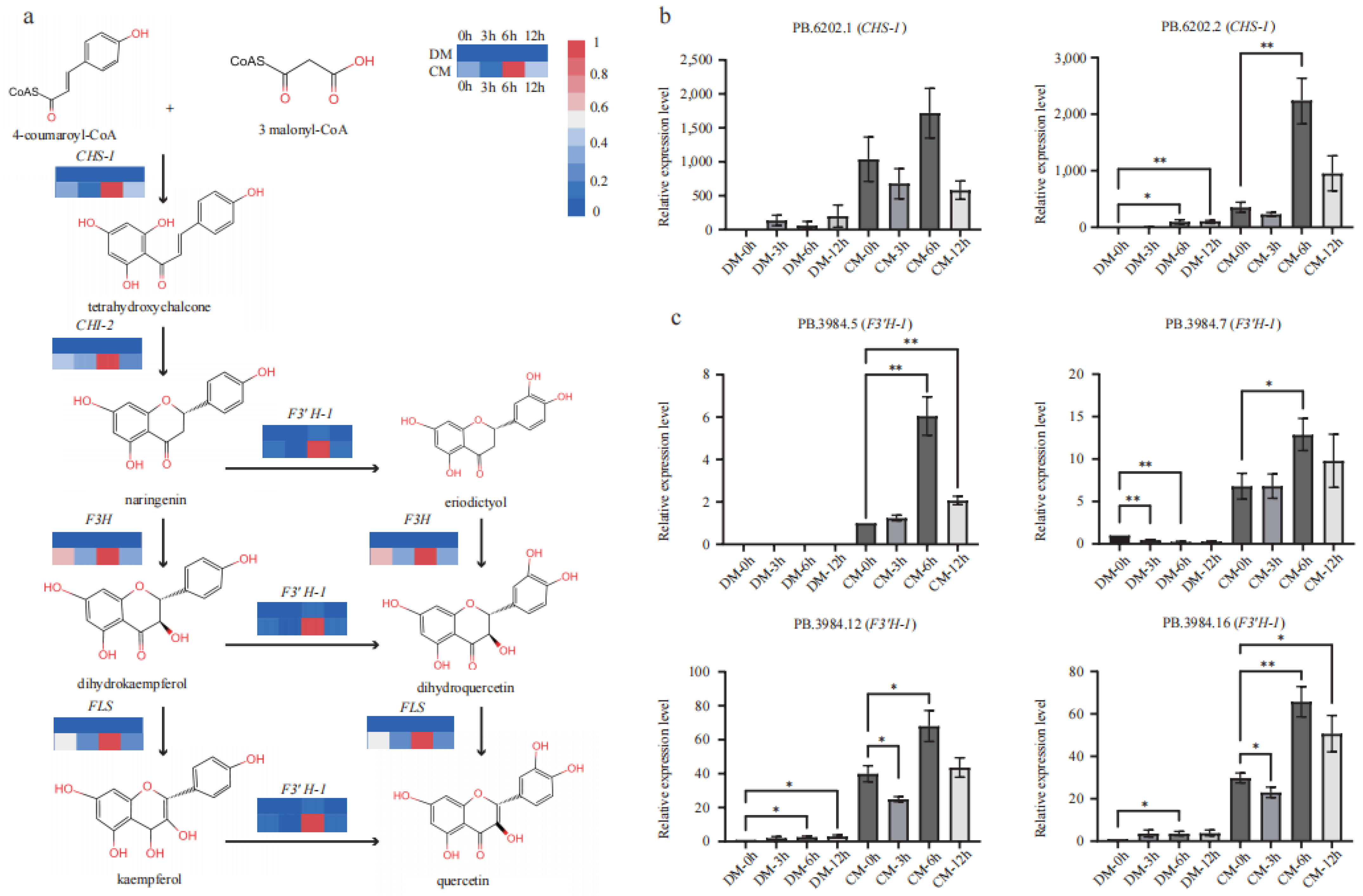 Plants 12 02054 g005