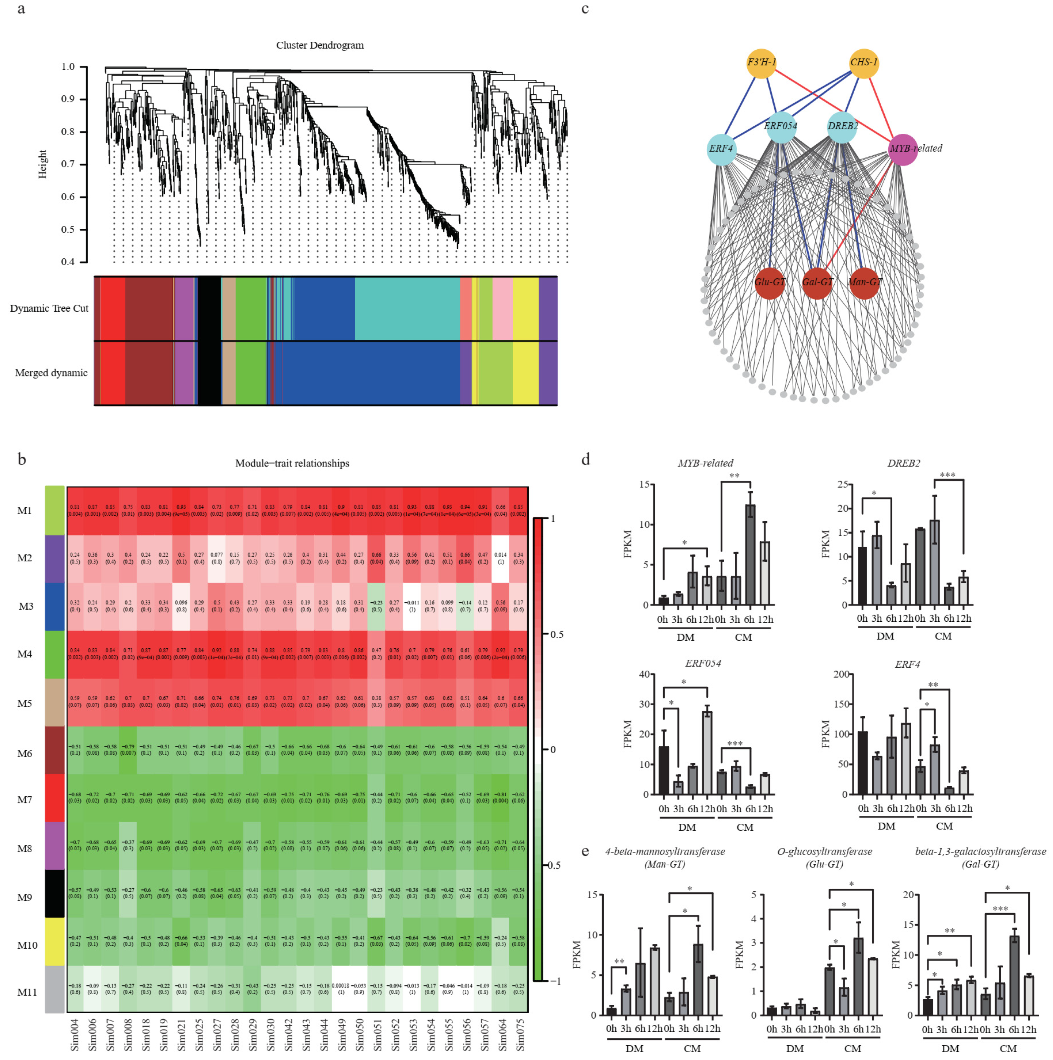 Plants 12 02054 g006