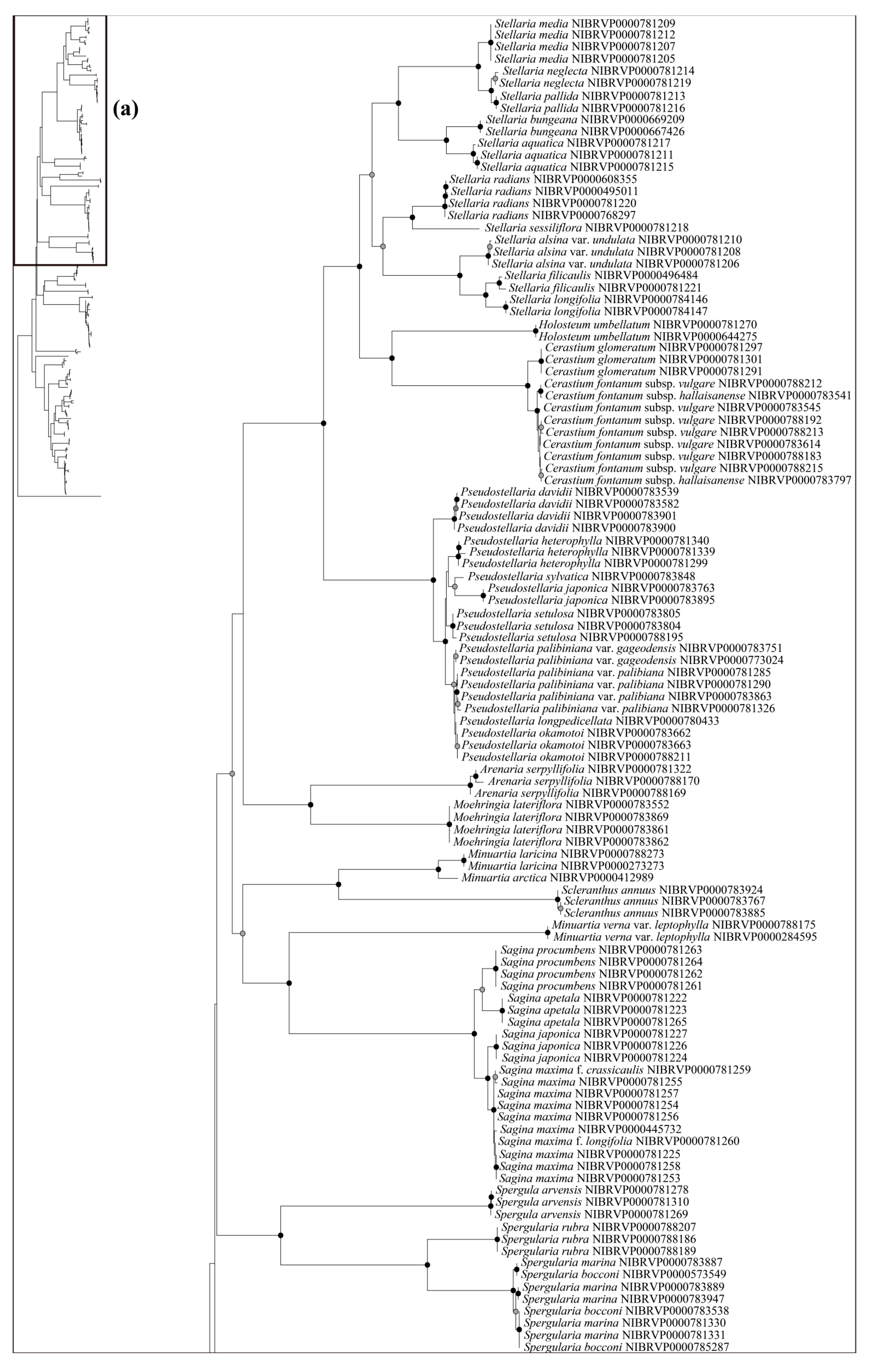 Plants 12 02060 g005a