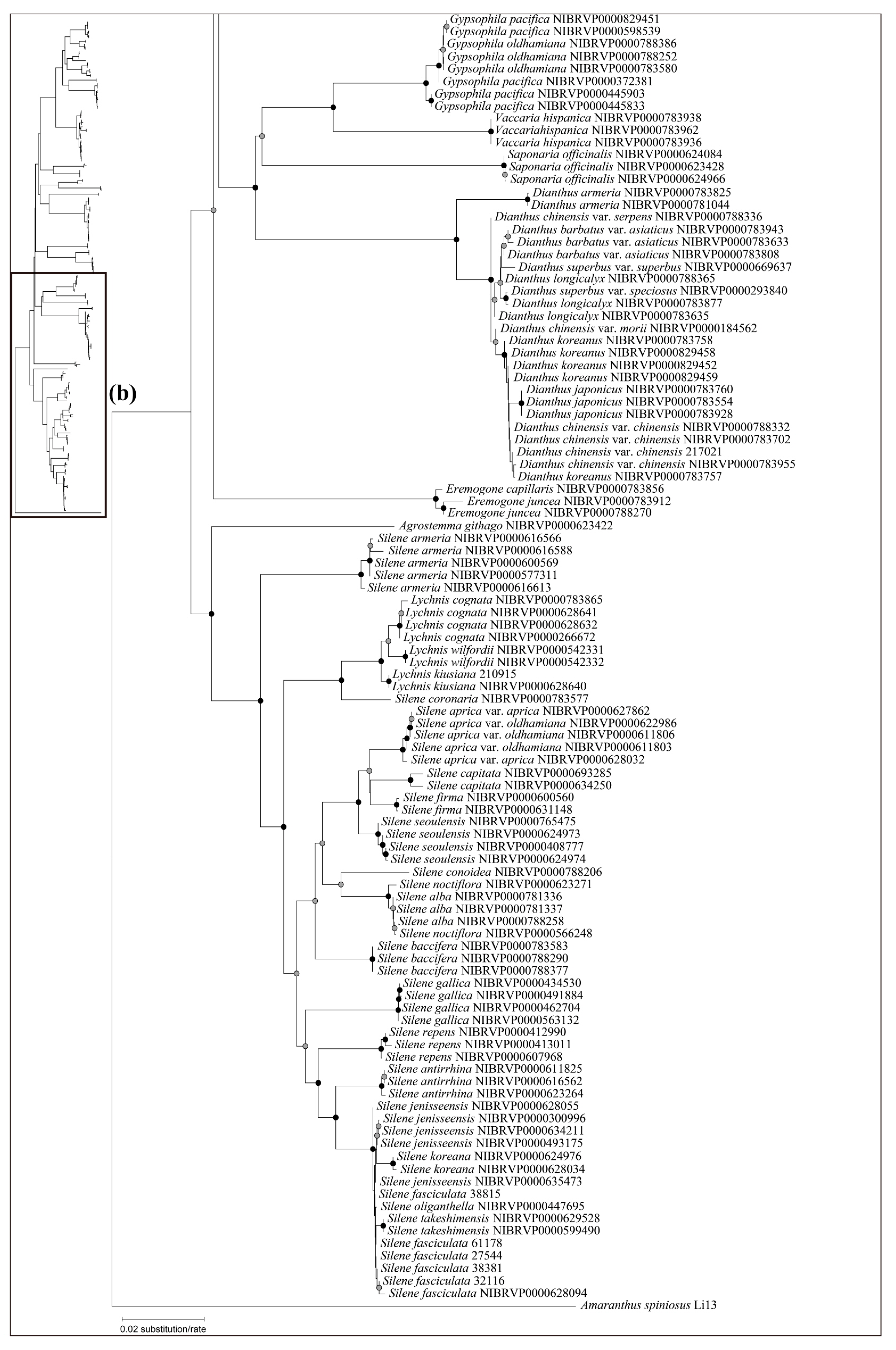 Plants 12 02060 g005b