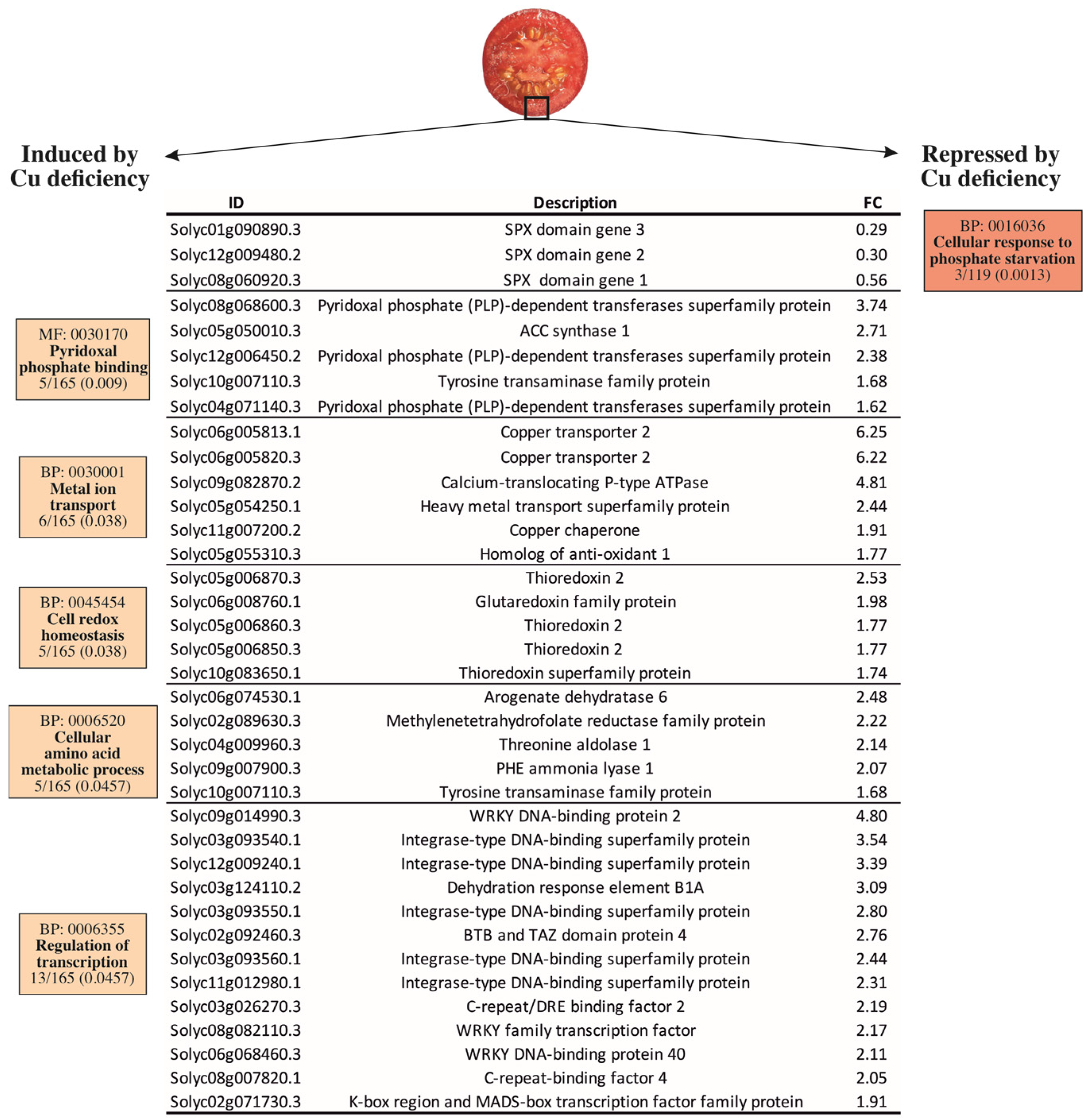 Plants 12 02062 g002