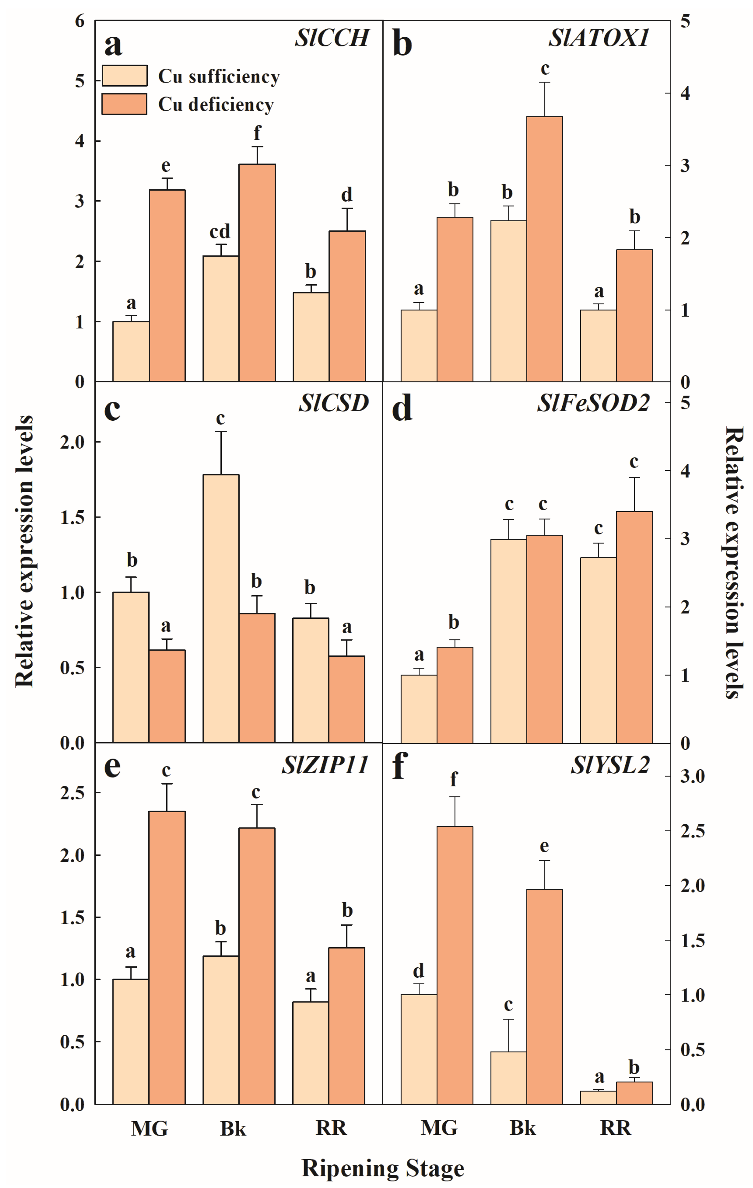 Plants 12 02062 g004