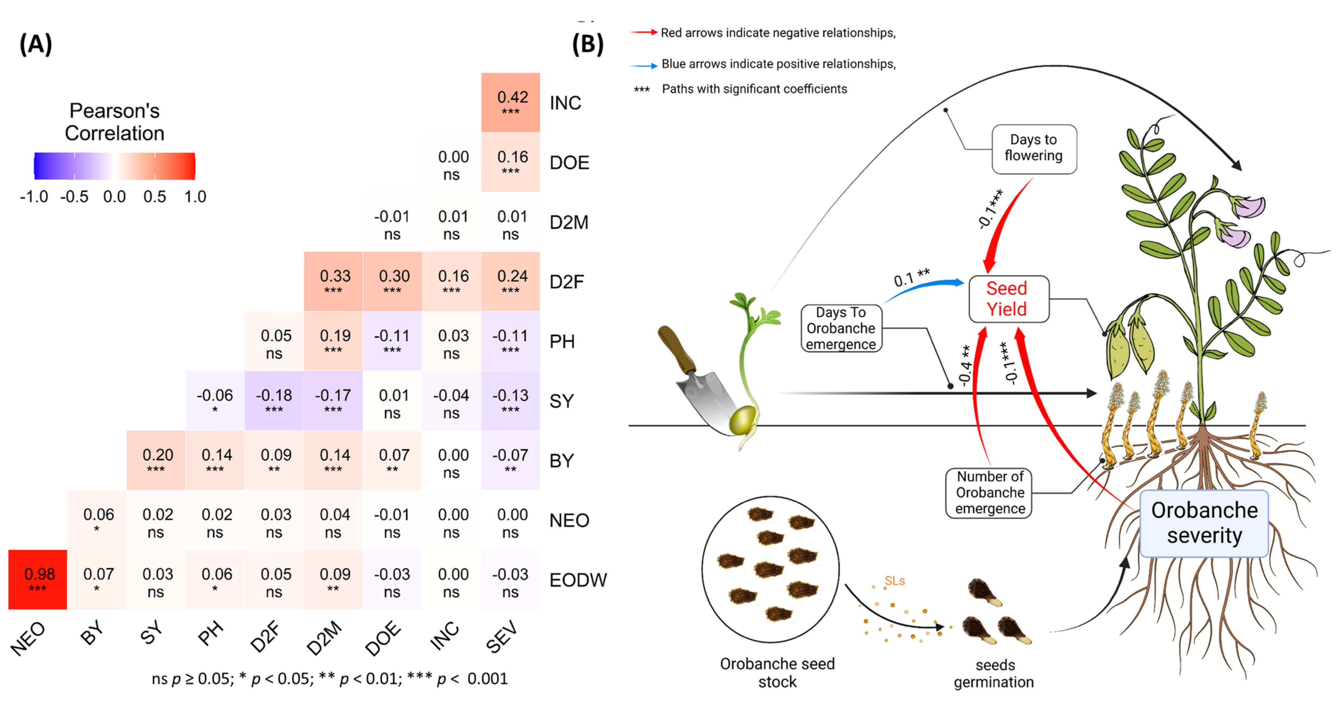 Plants 12 02064 g002