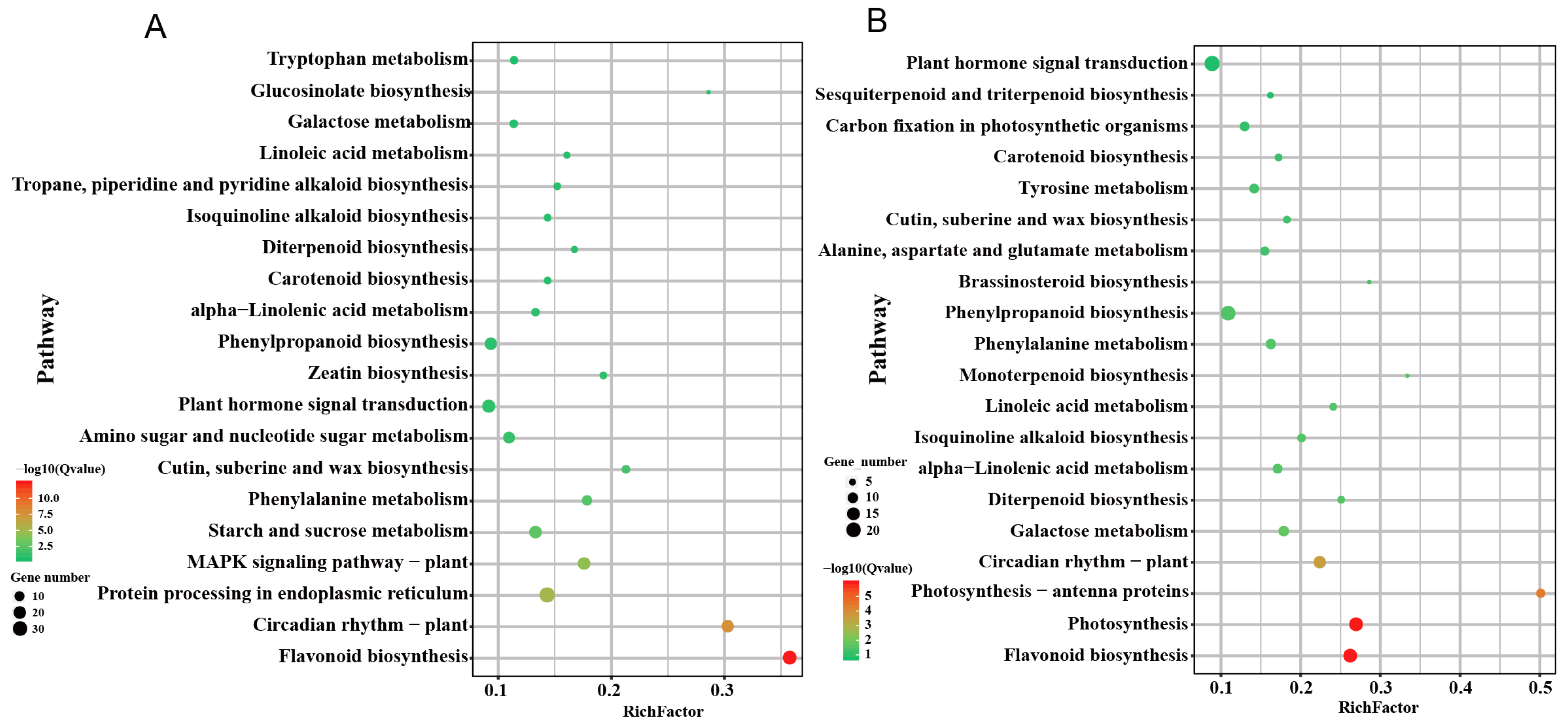 Plants 12 02066 g006