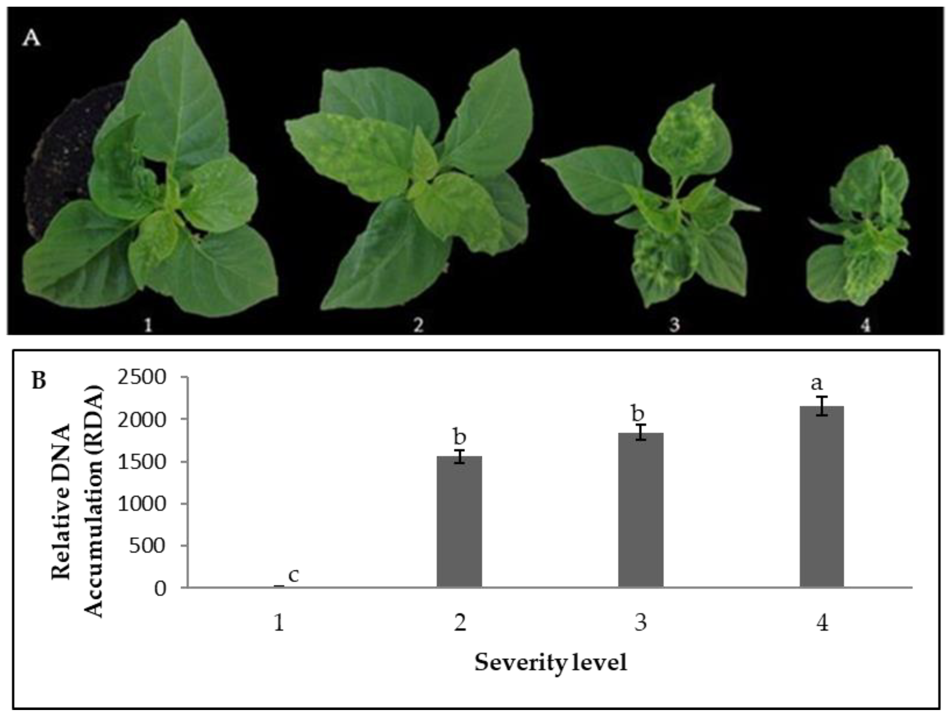 Plants 12 02069 g001