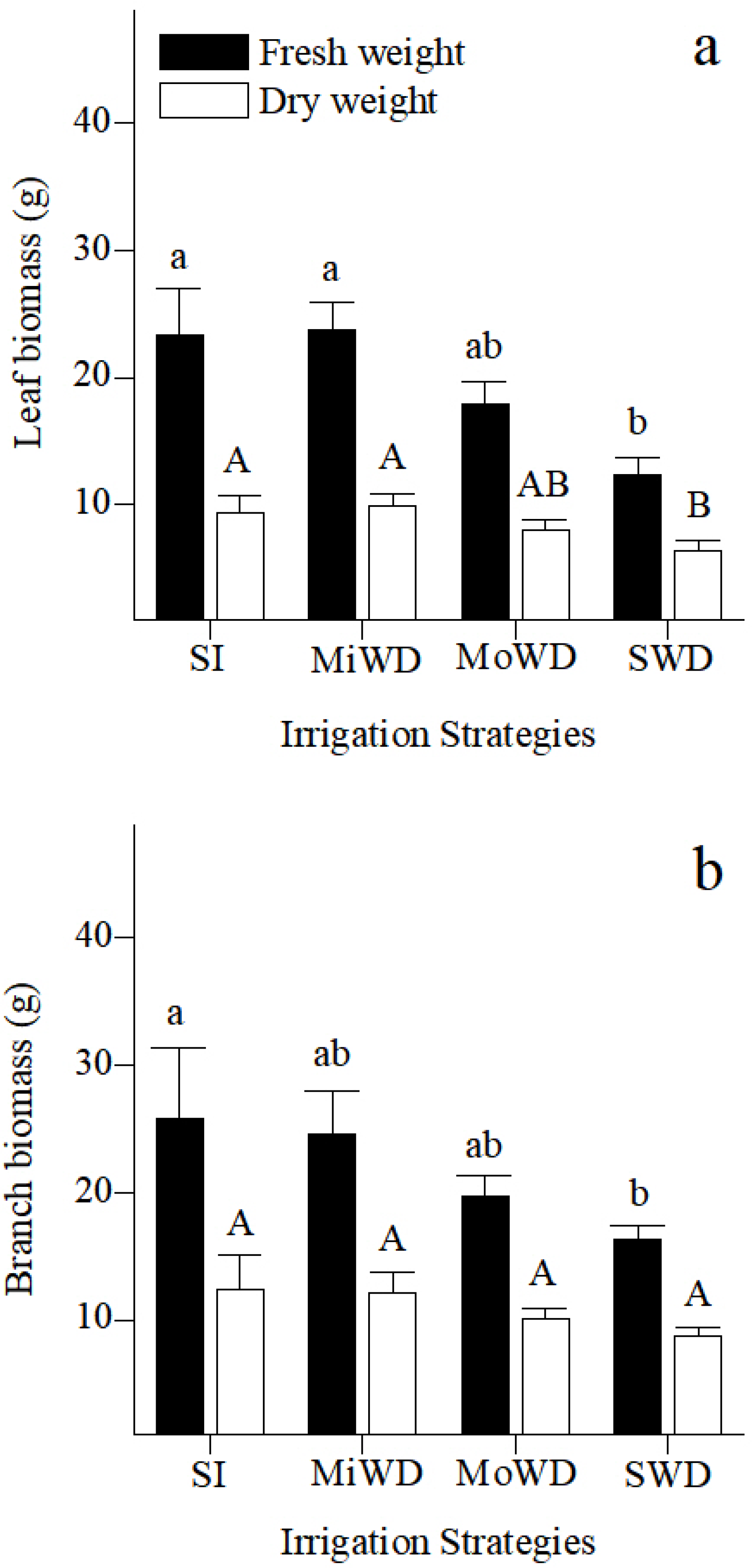 Plants 12 02076 g001 Plants 12 02076 g001