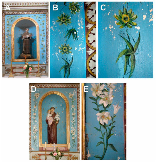 Plants 12 02080 g003