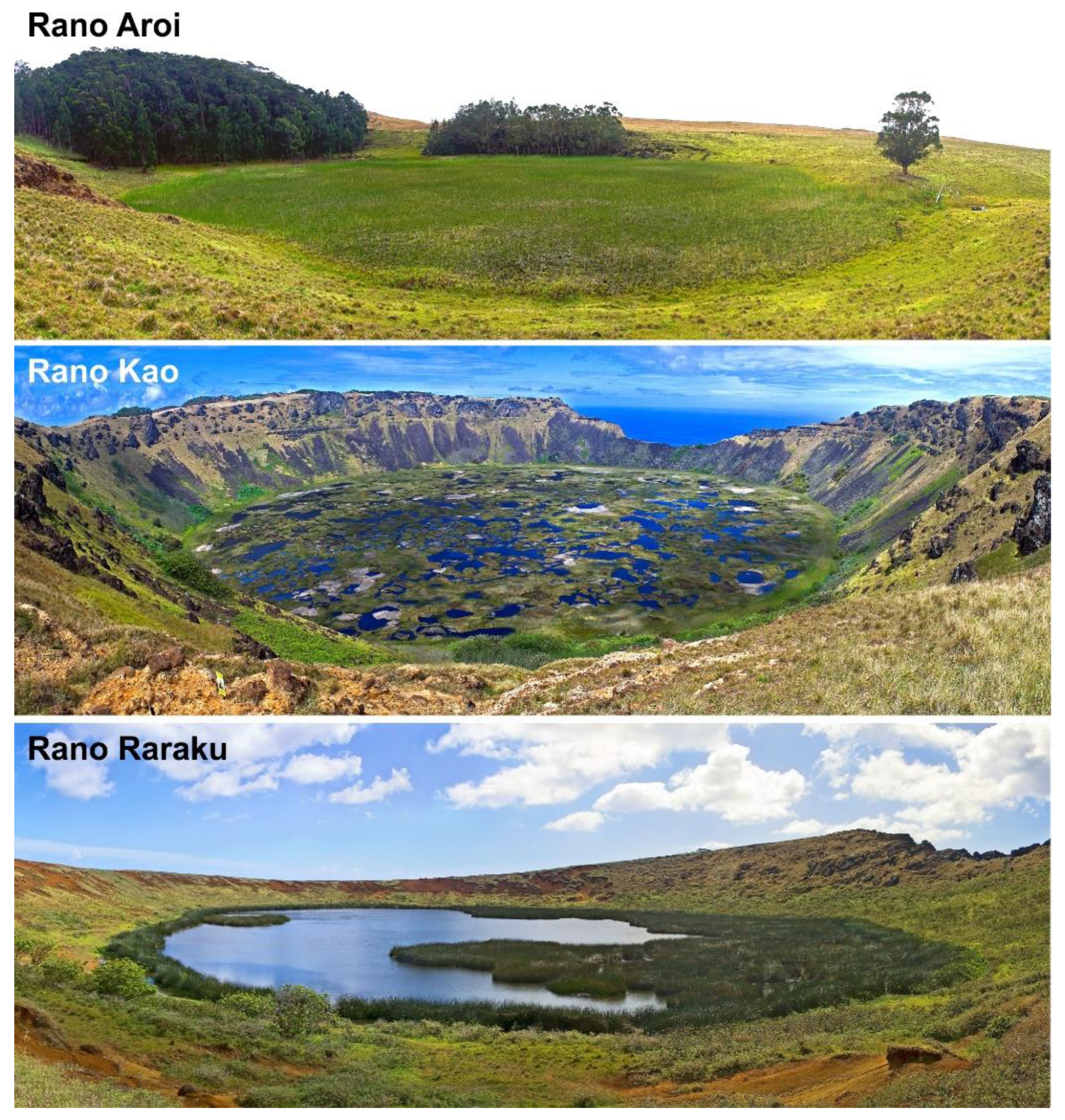 Plants 12 02089 g003 Plants 12 02089 g003