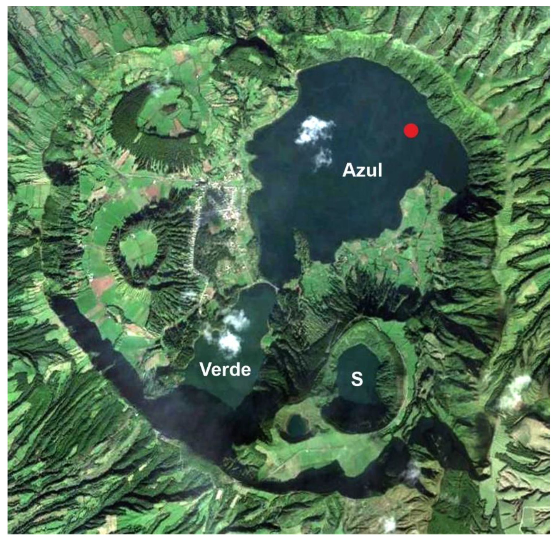 Plants 12 02089 g004 Plants 12 02089 g004