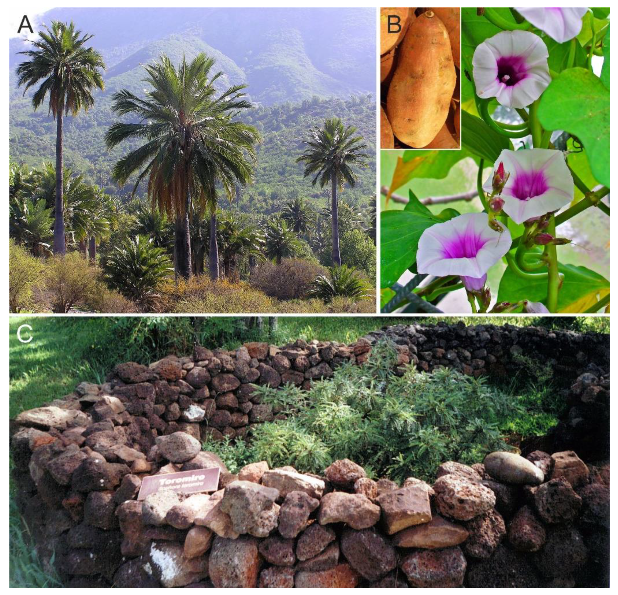 Plants 12 02089 g009 Plants 12 02089 g009