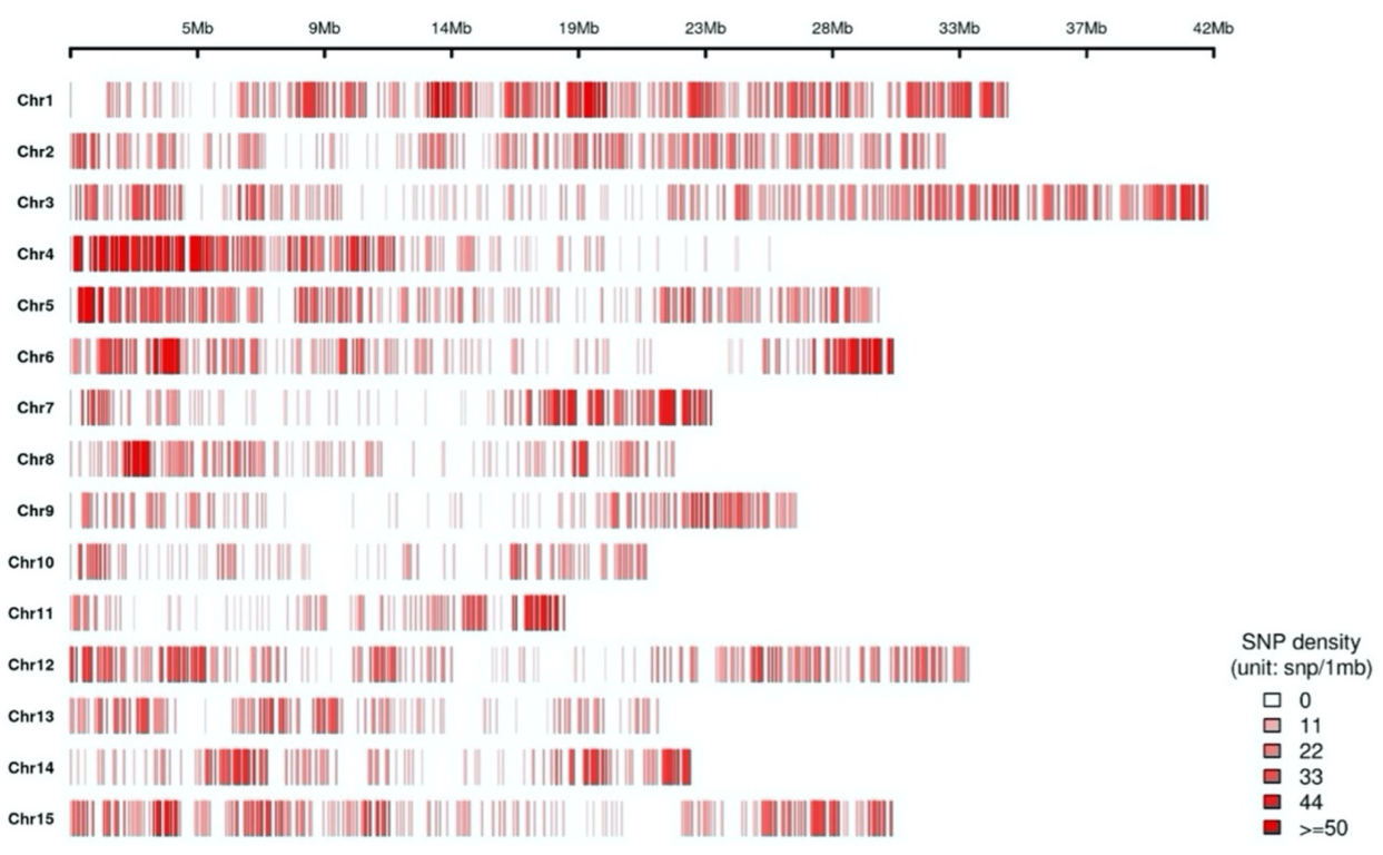 Plants 12 02097 g001