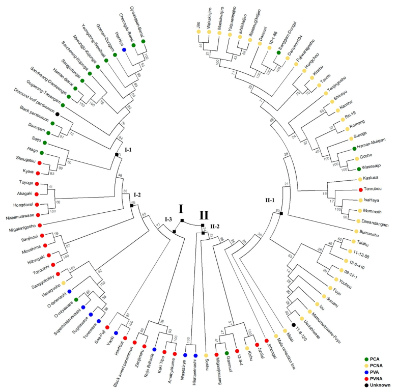 Plants 12 02097 g003