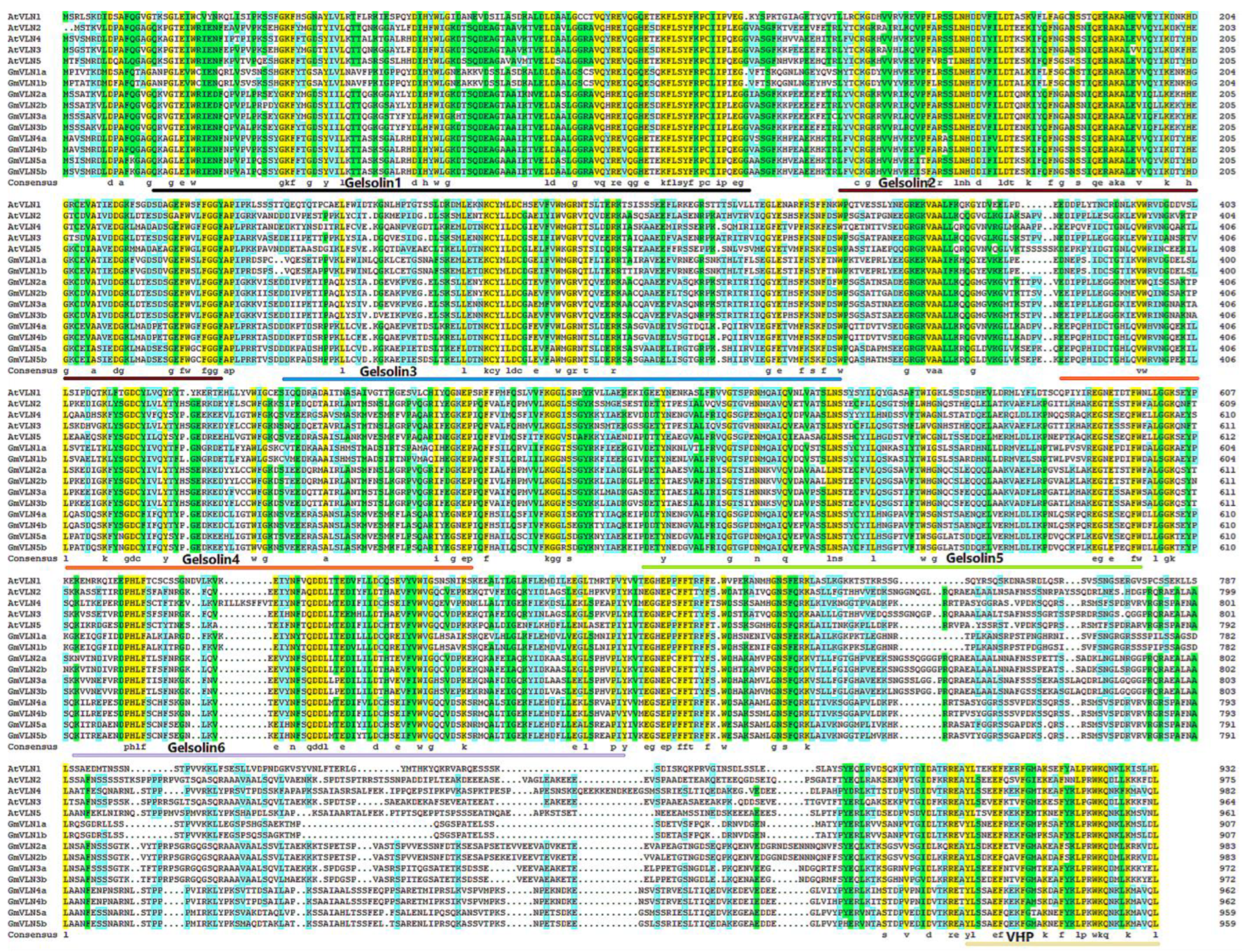 Plants 12 02101 g002 Plants 12 02101 g002