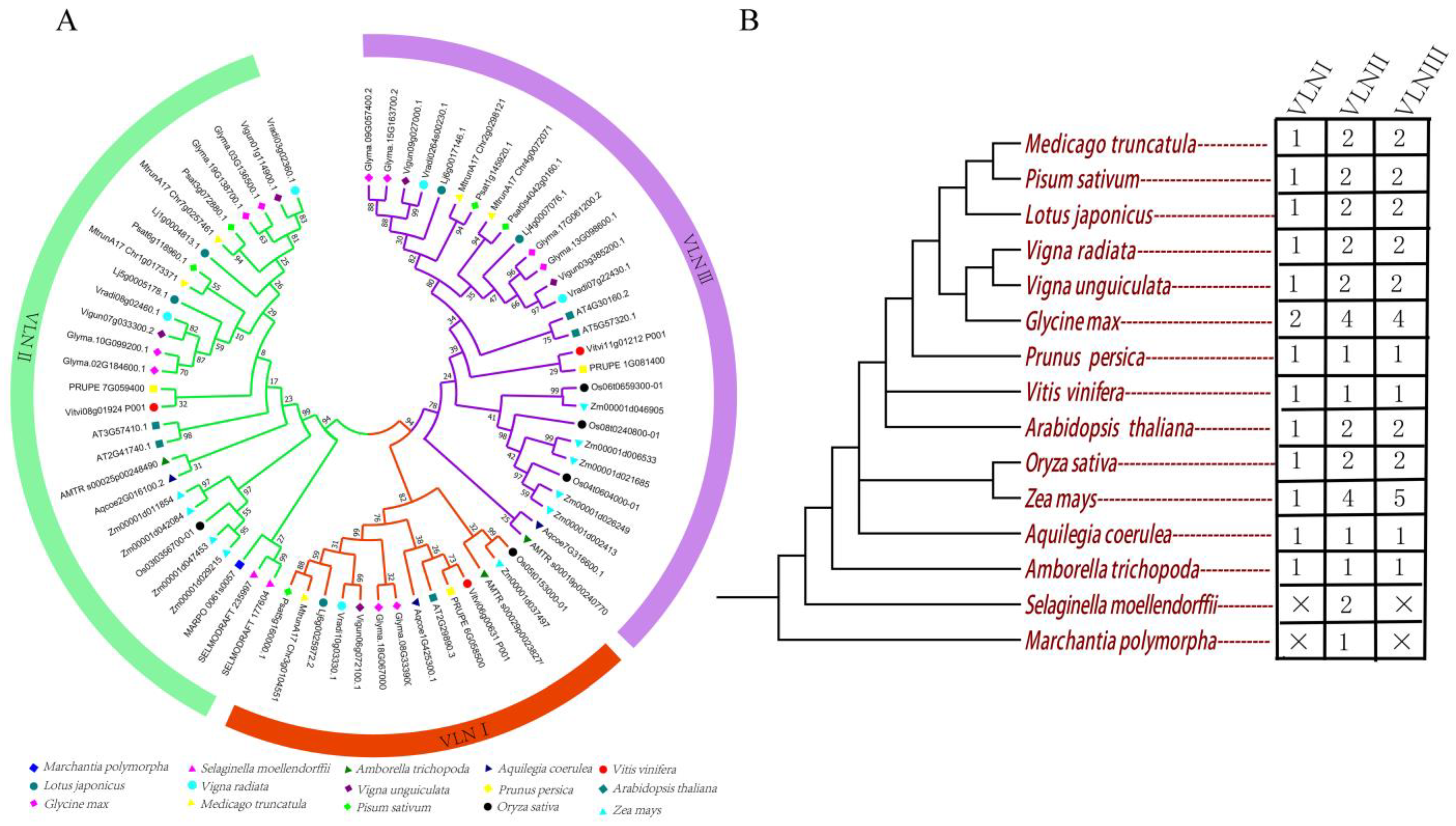 Plants 12 02101 g003 Plants 12 02101 g003