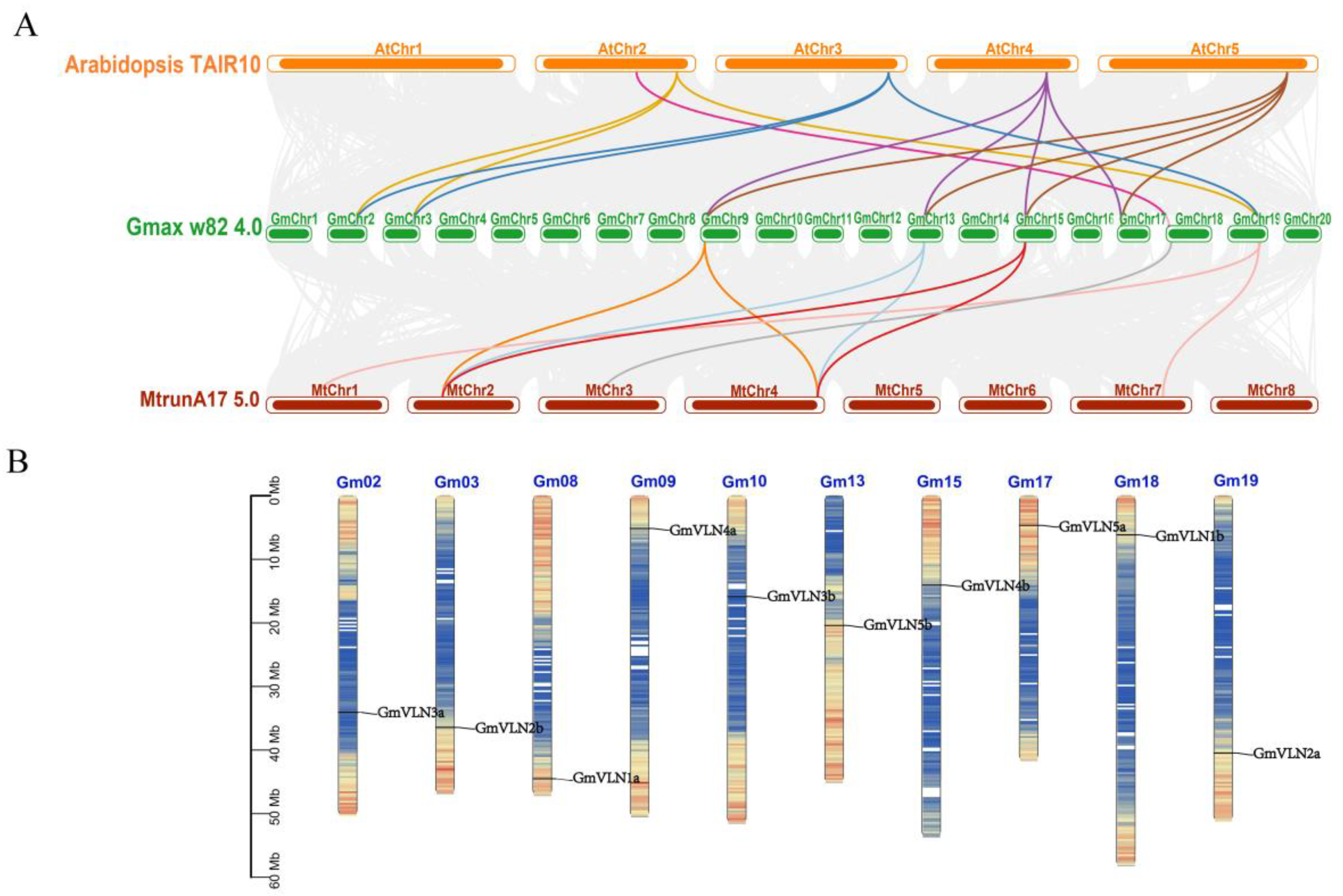 Plants 12 02101 g004 Plants 12 02101 g004