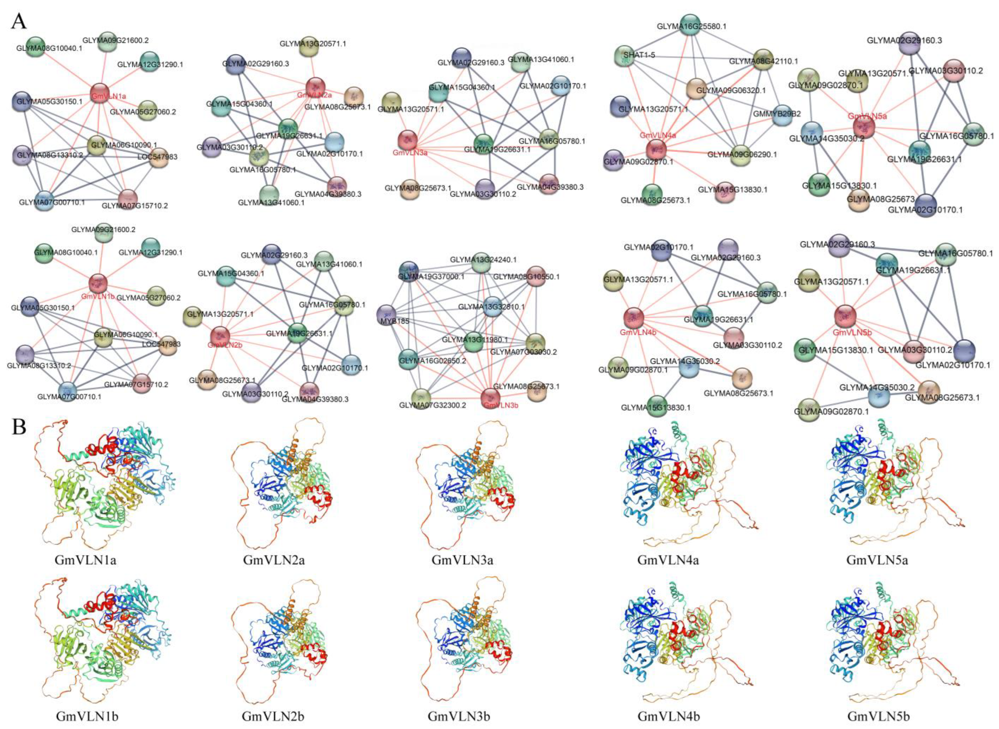 Plants 12 02101 g005 Plants 12 02101 g005