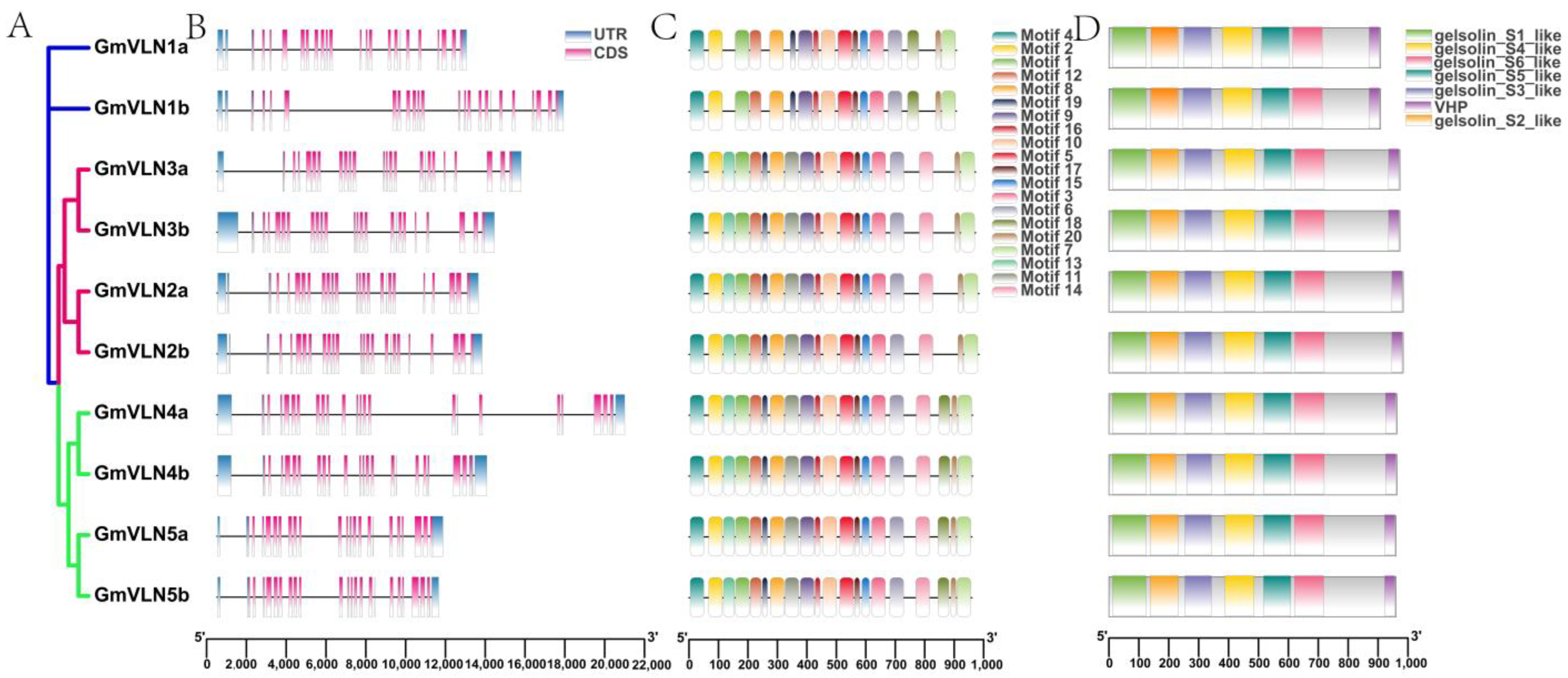 Plants 12 02101 g006 Plants 12 02101 g006