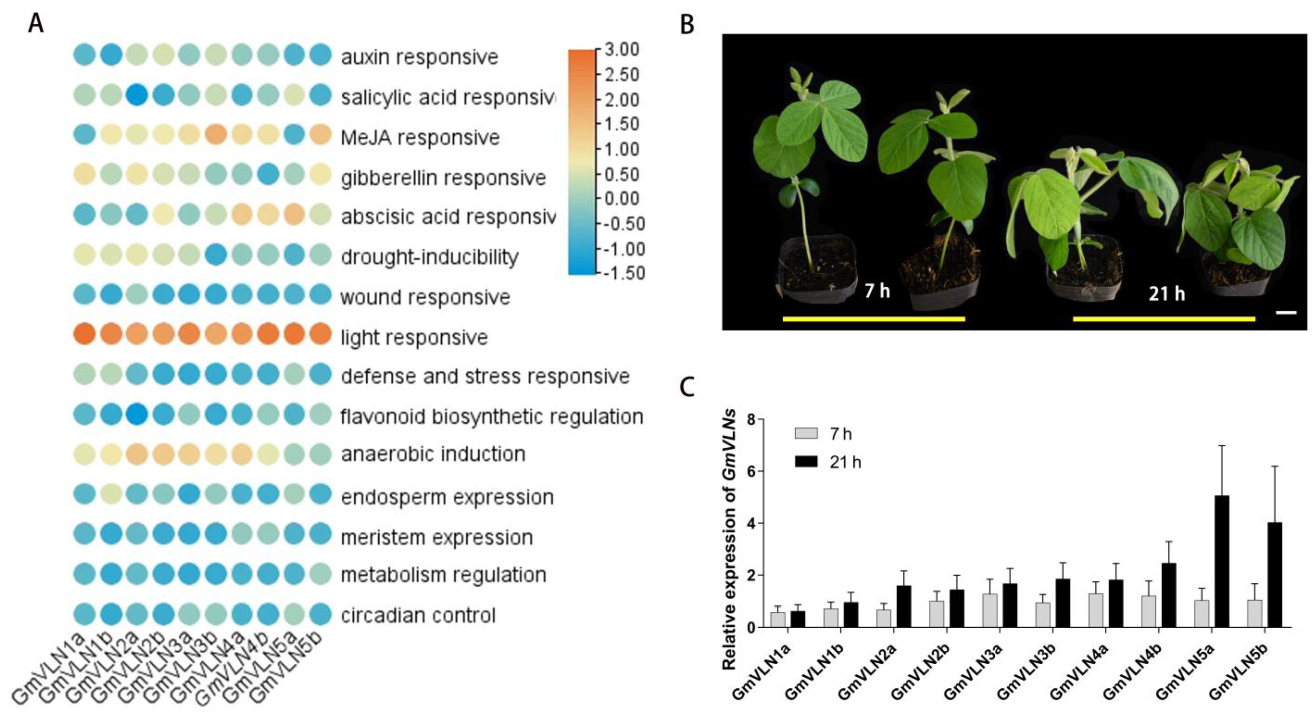 Plants 12 02101 g008 Plants 12 02101 g008