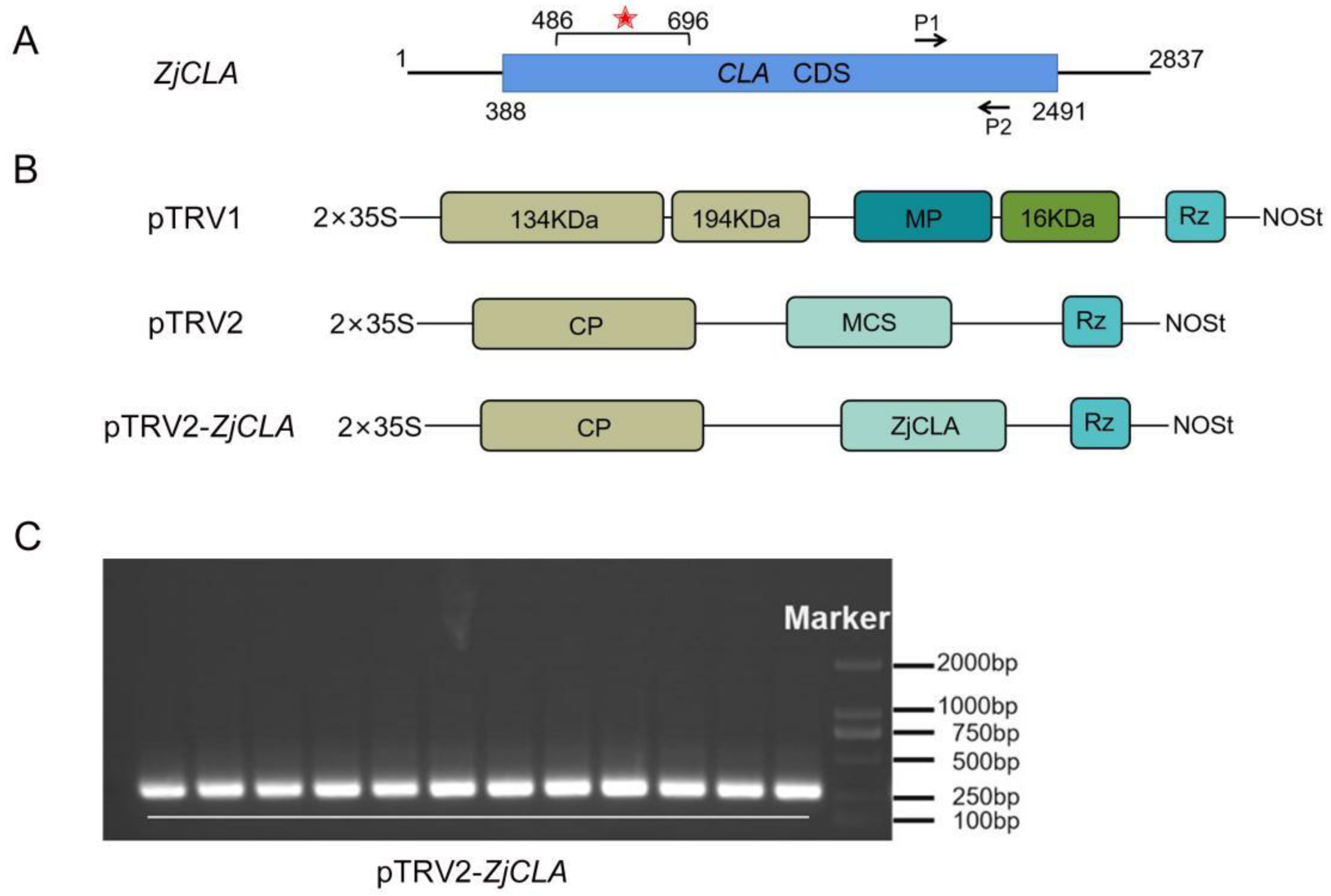Plants 12 02115 g002