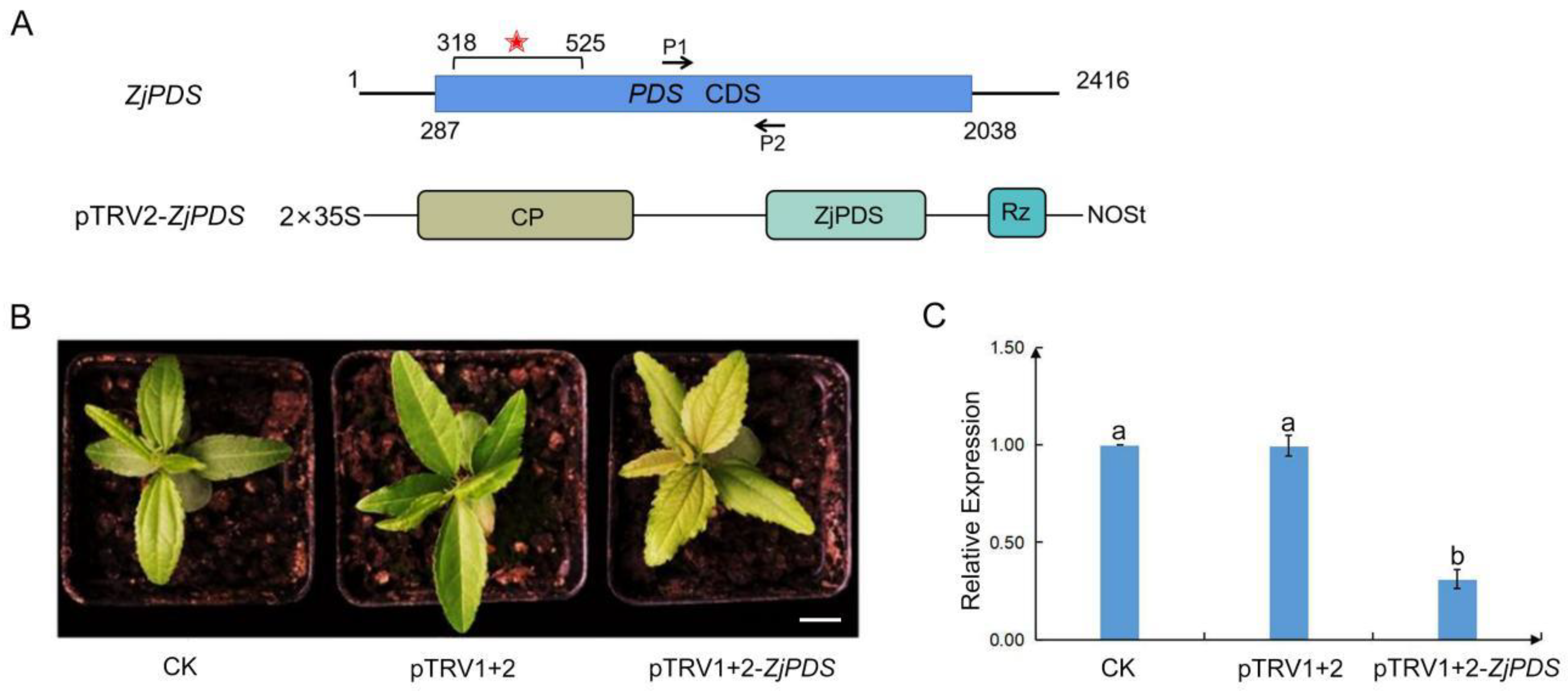 Plants 12 02115 g005