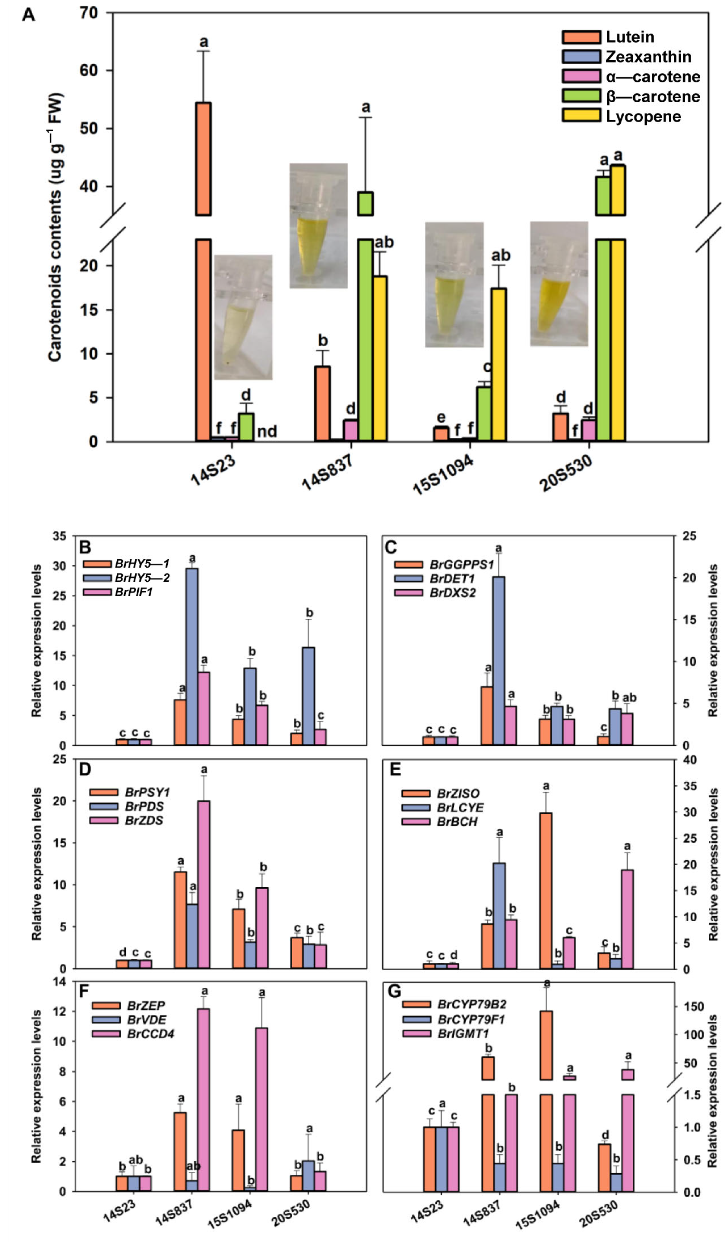 Plants 12 02120 g008