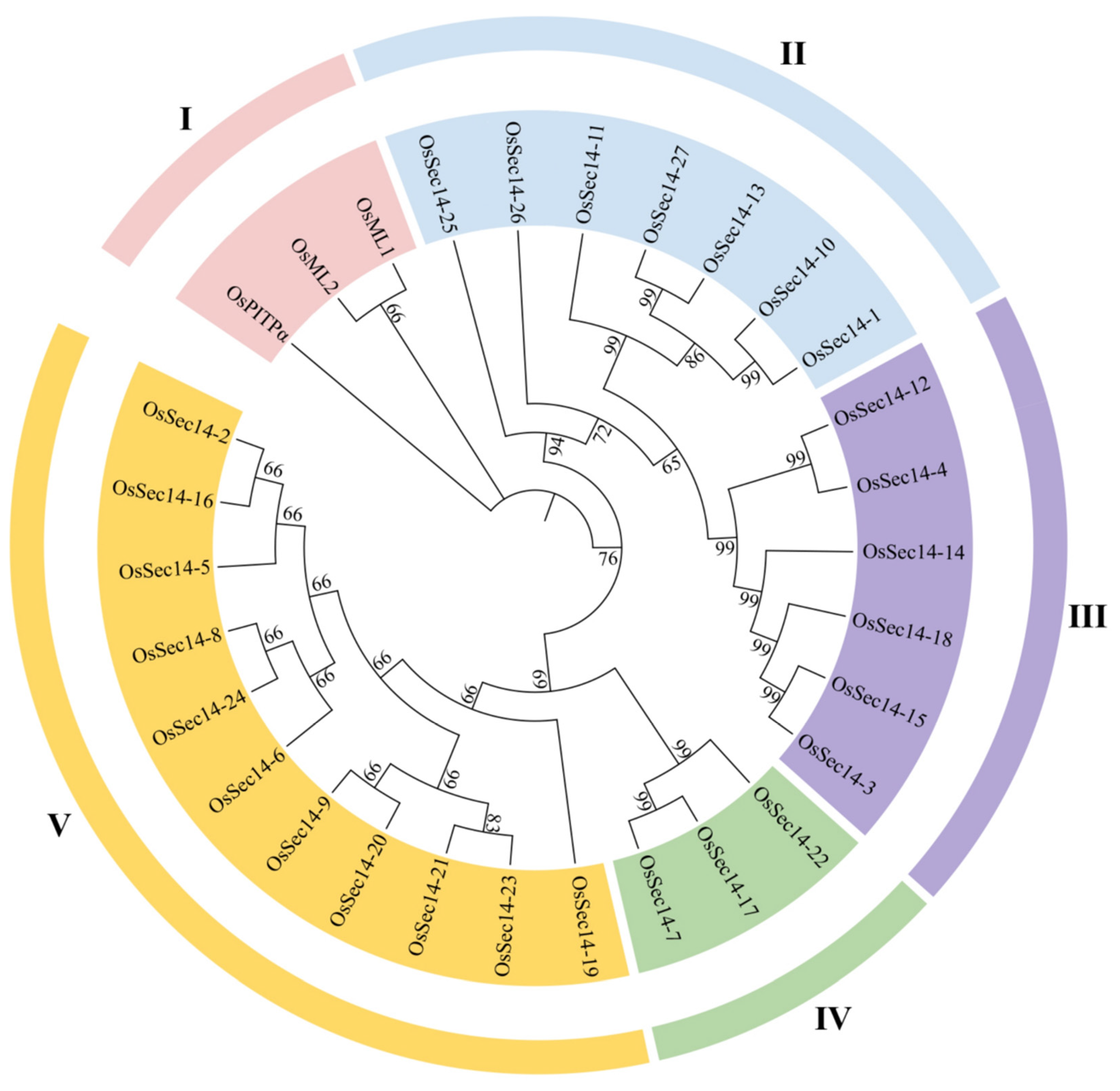 Plants 12 02122 g001
