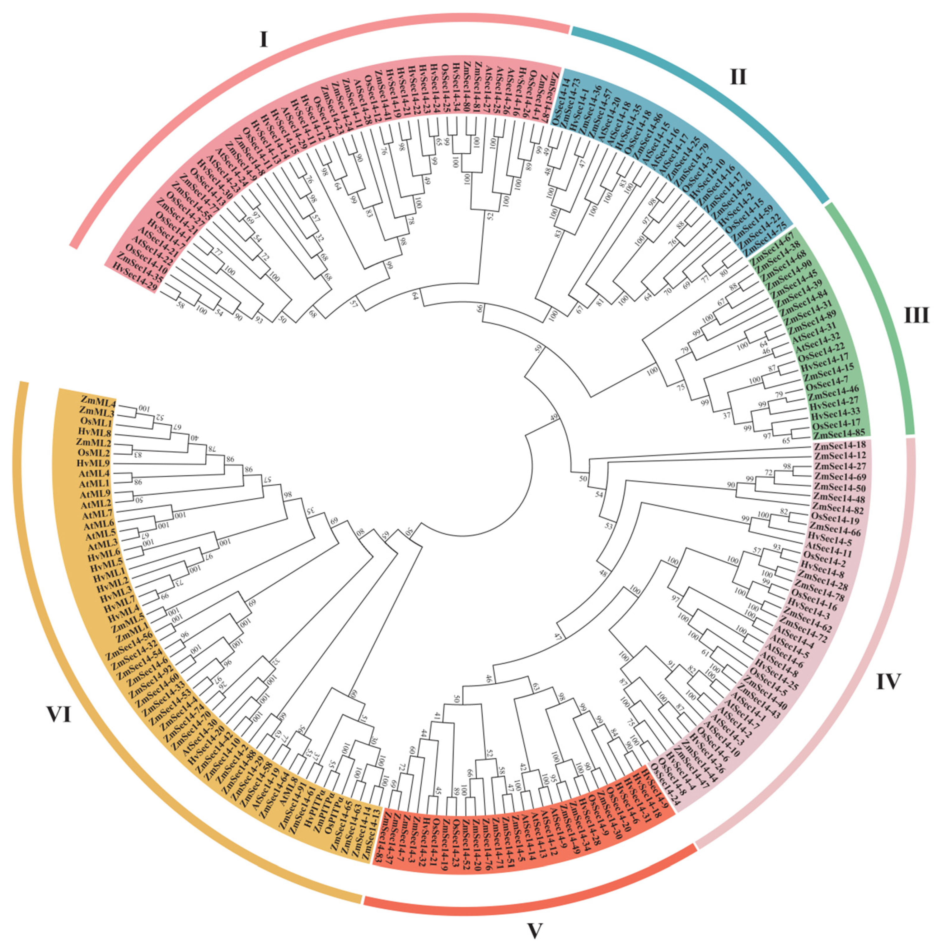 Plants 12 02122 g002