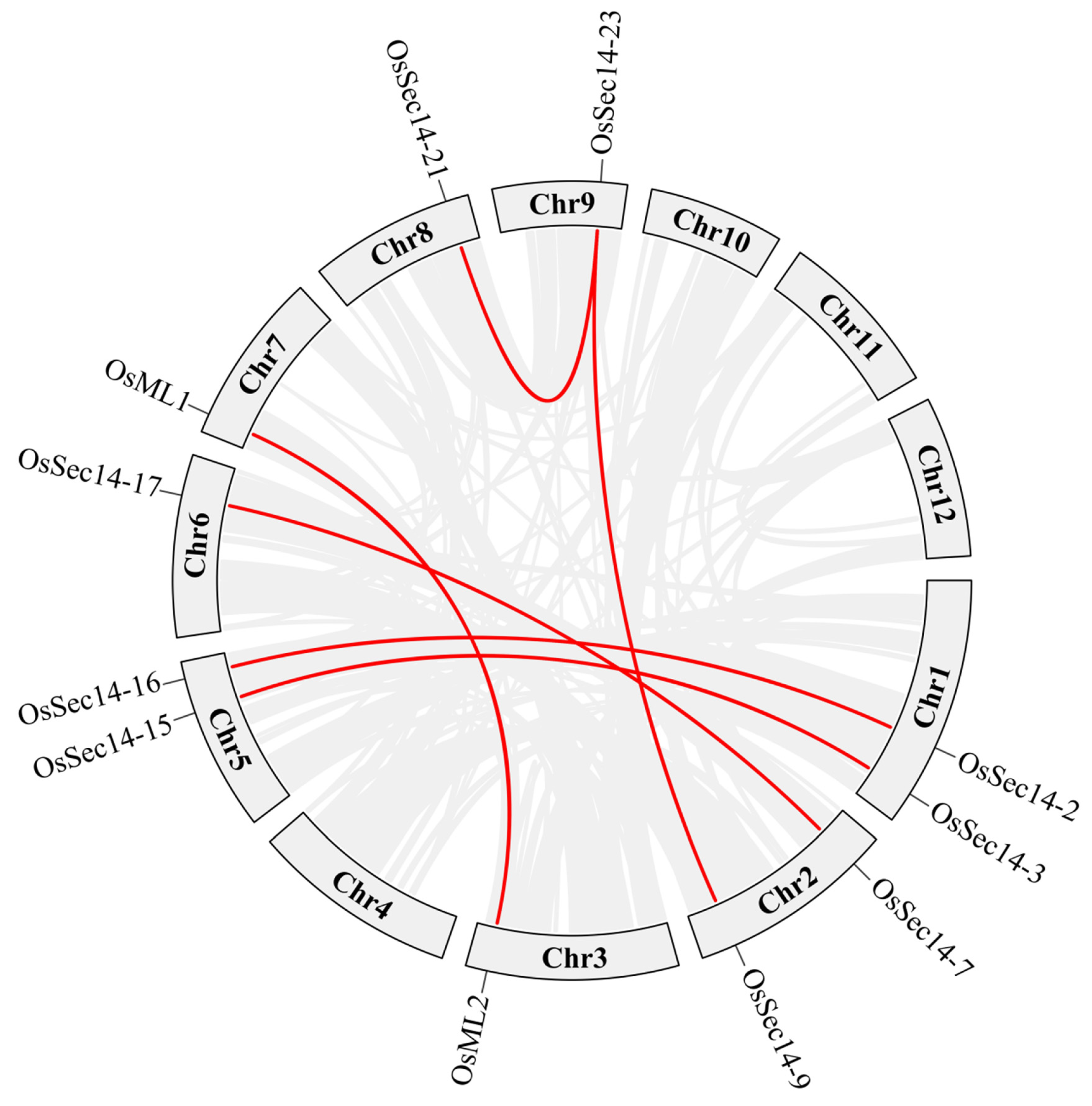 Plants 12 02122 g003
