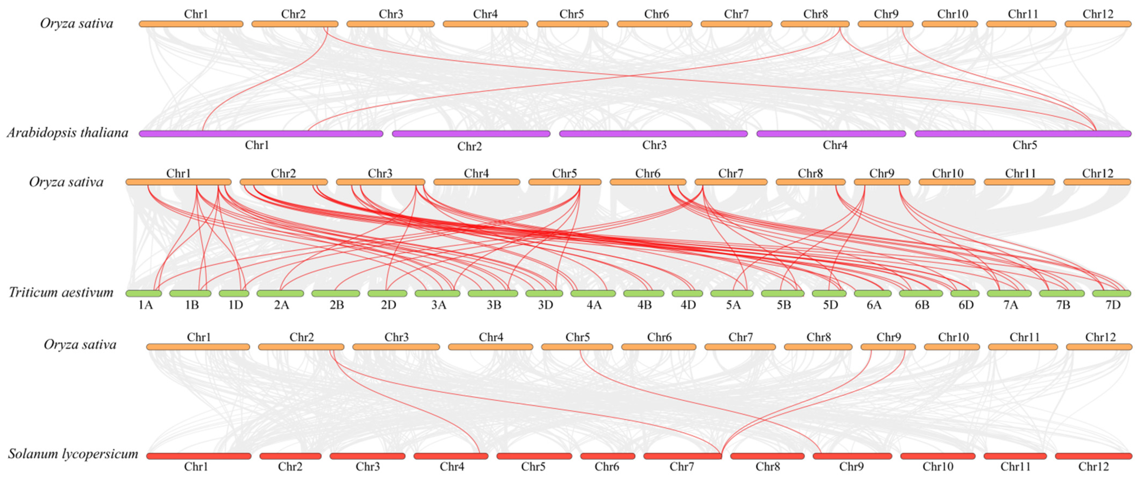 Plants 12 02122 g004