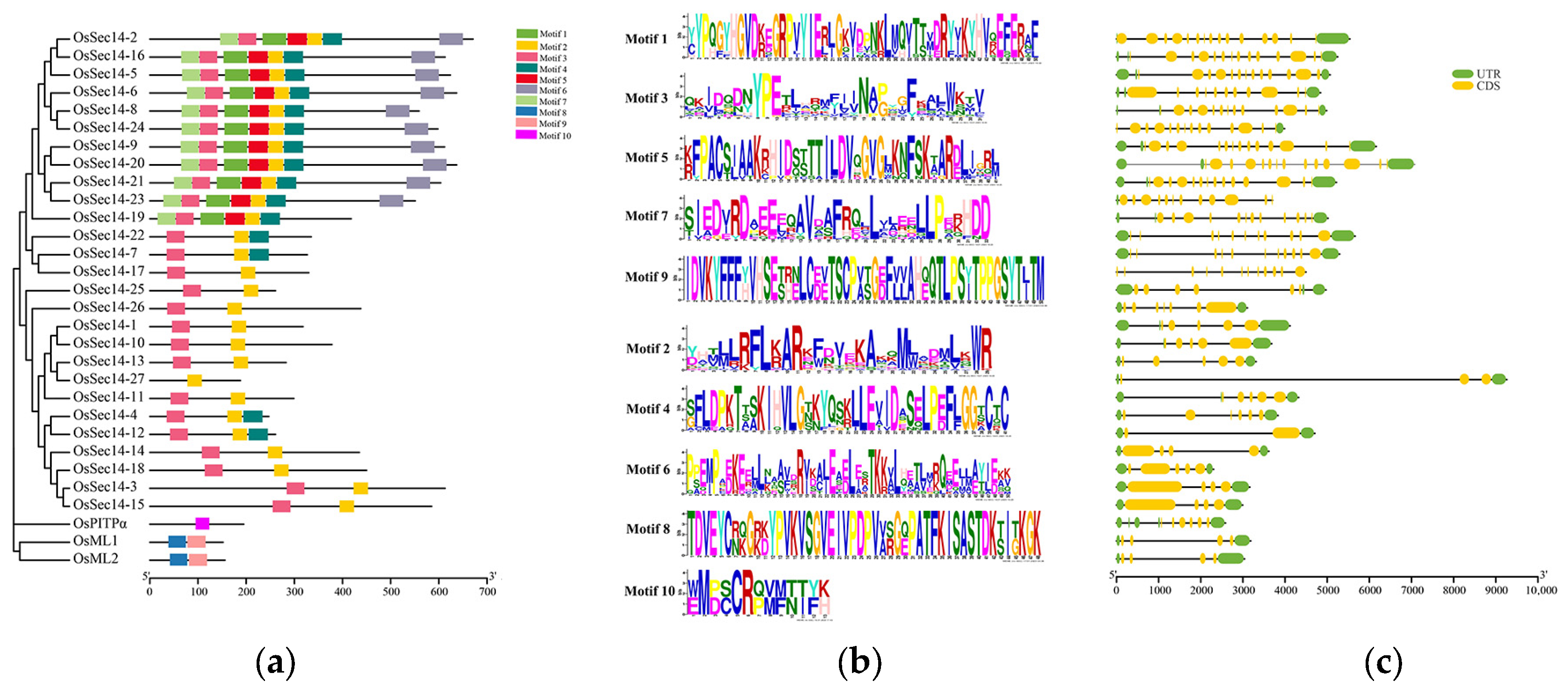 Plants 12 02122 g005
