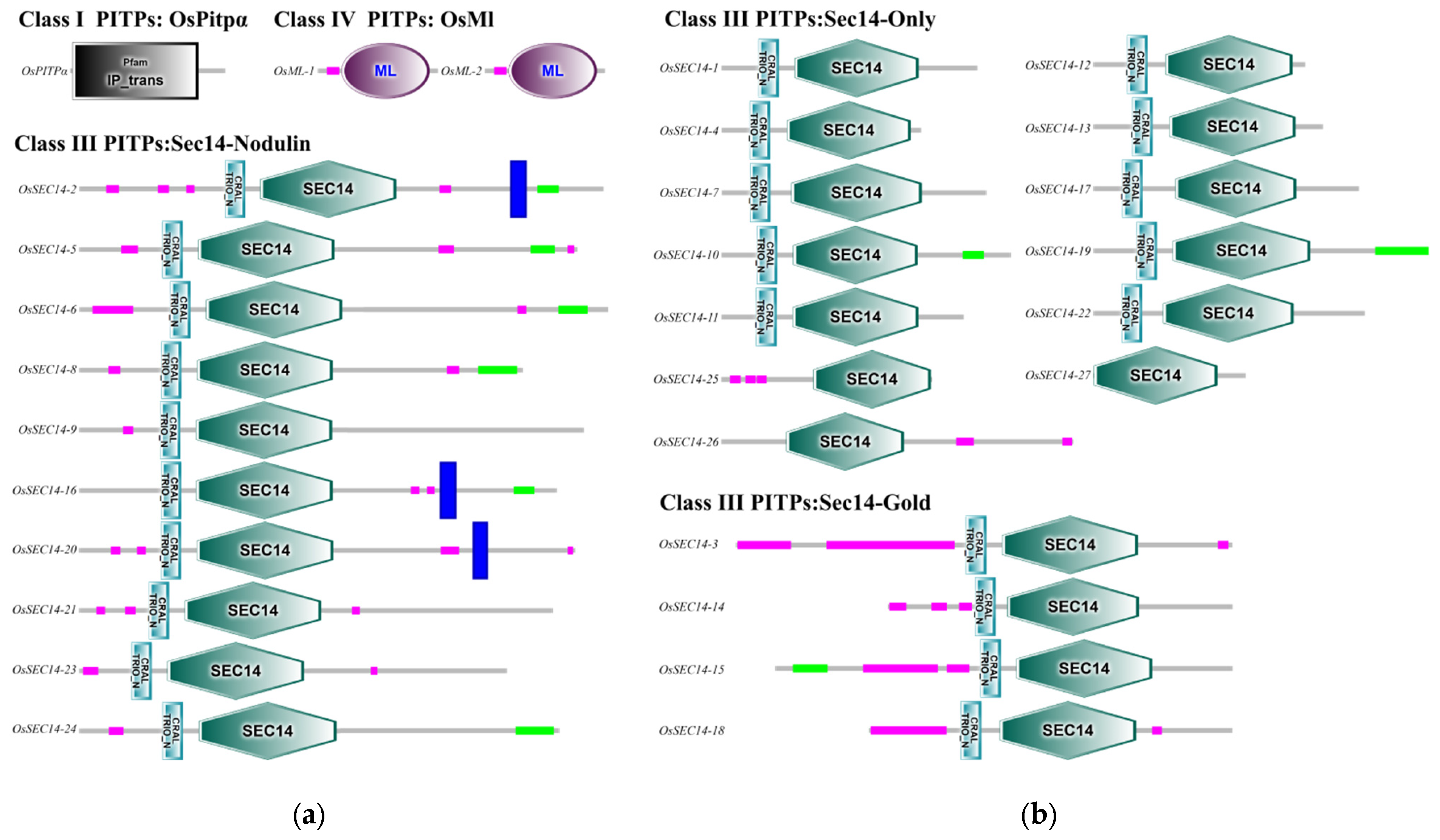 Plants 12 02122 g006