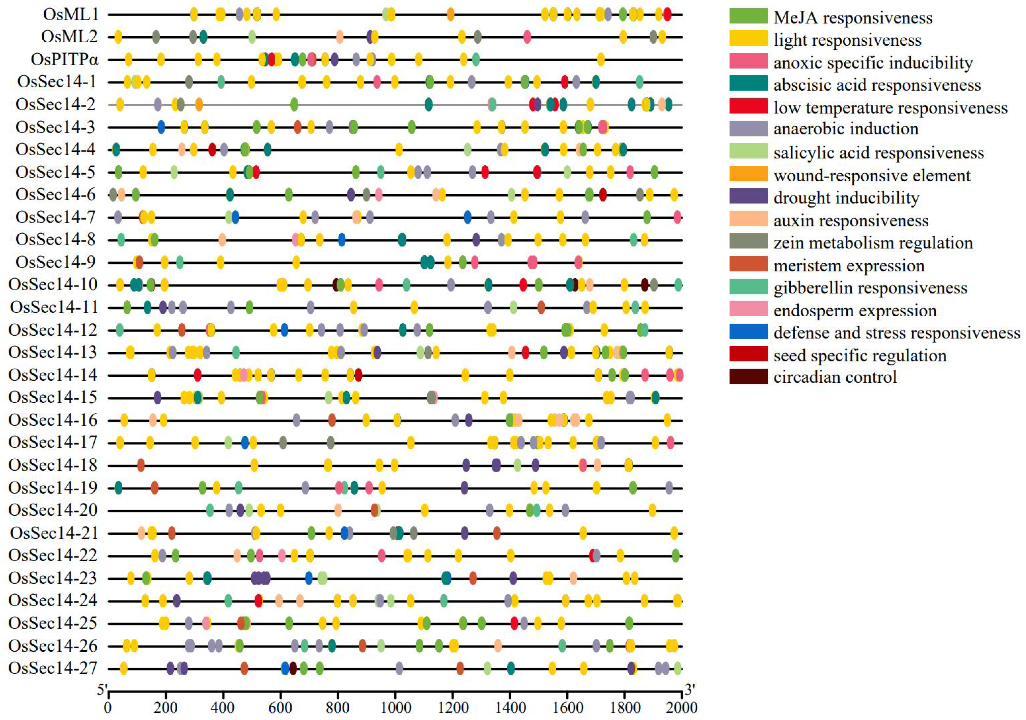Plants 12 02122 g007