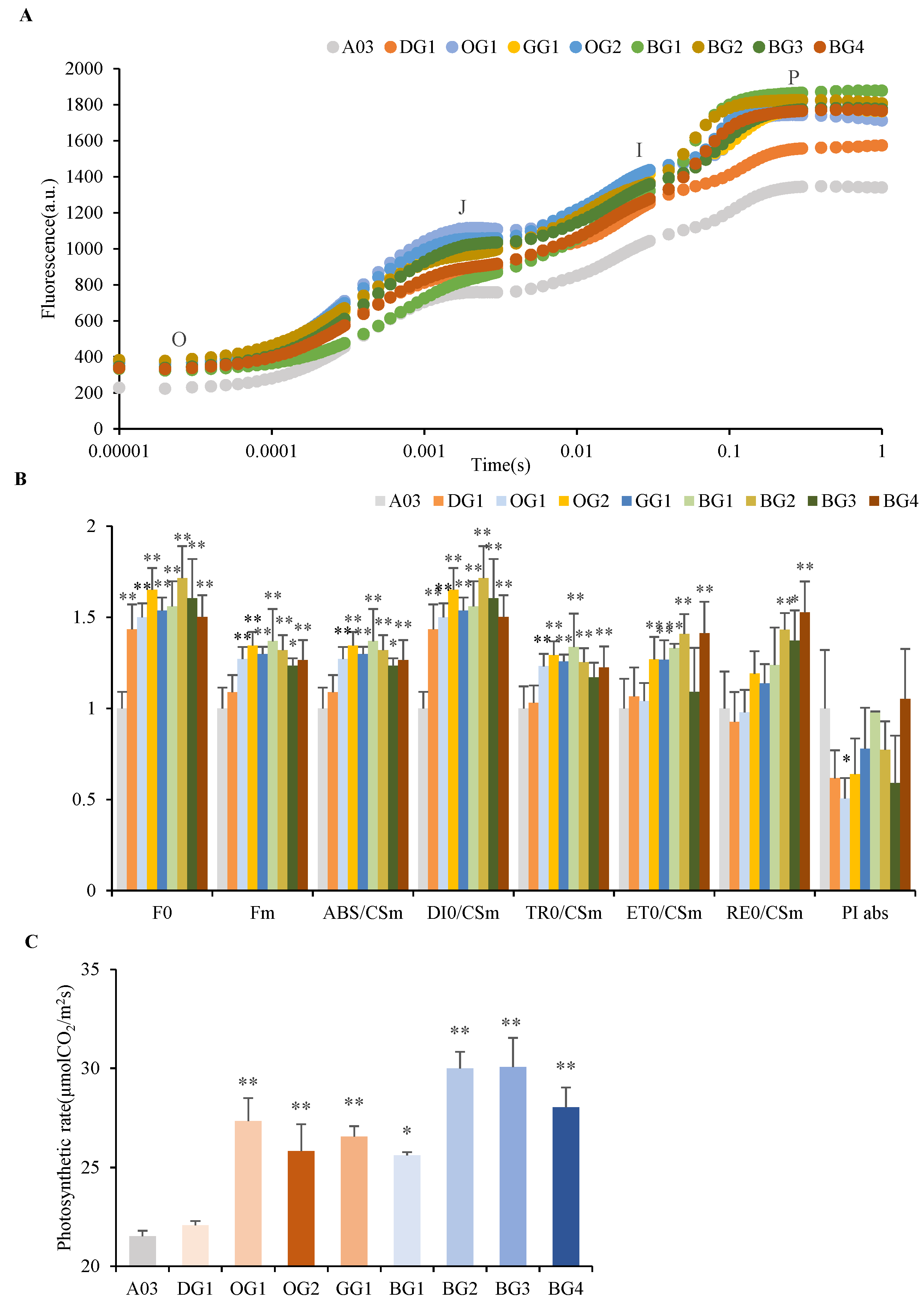 Plants 12 02124 g003