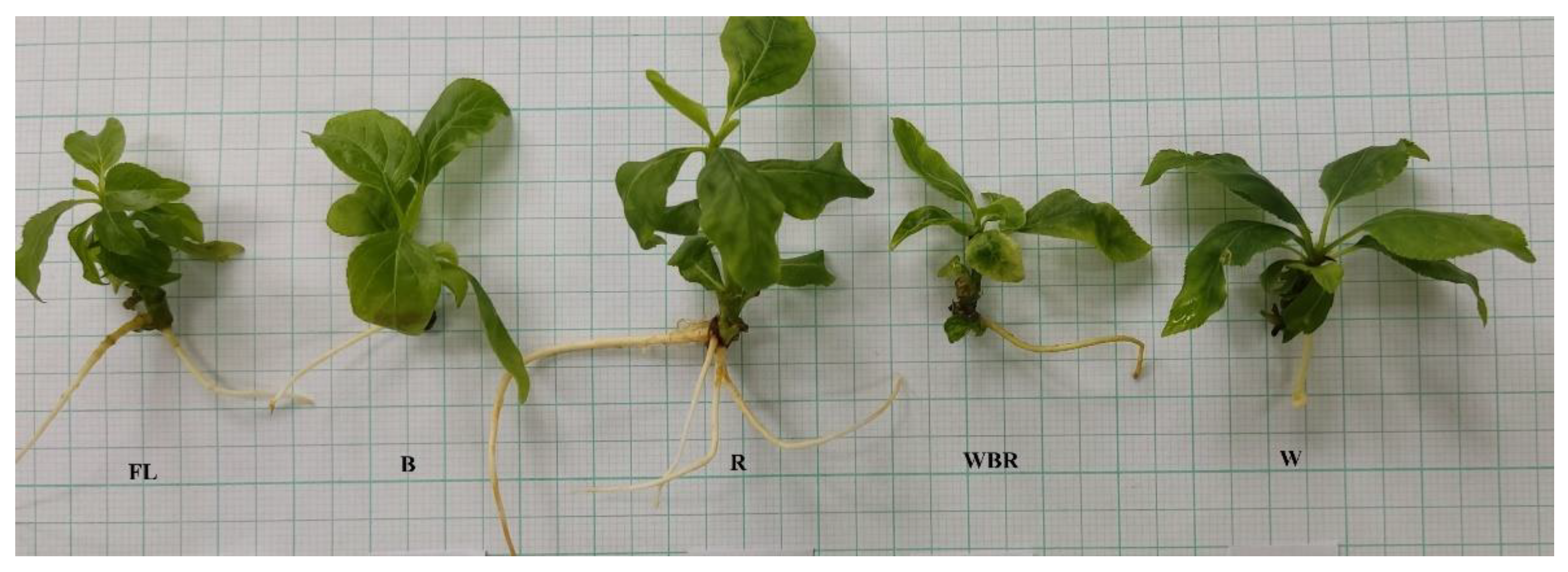 Plants 12 02125 g005