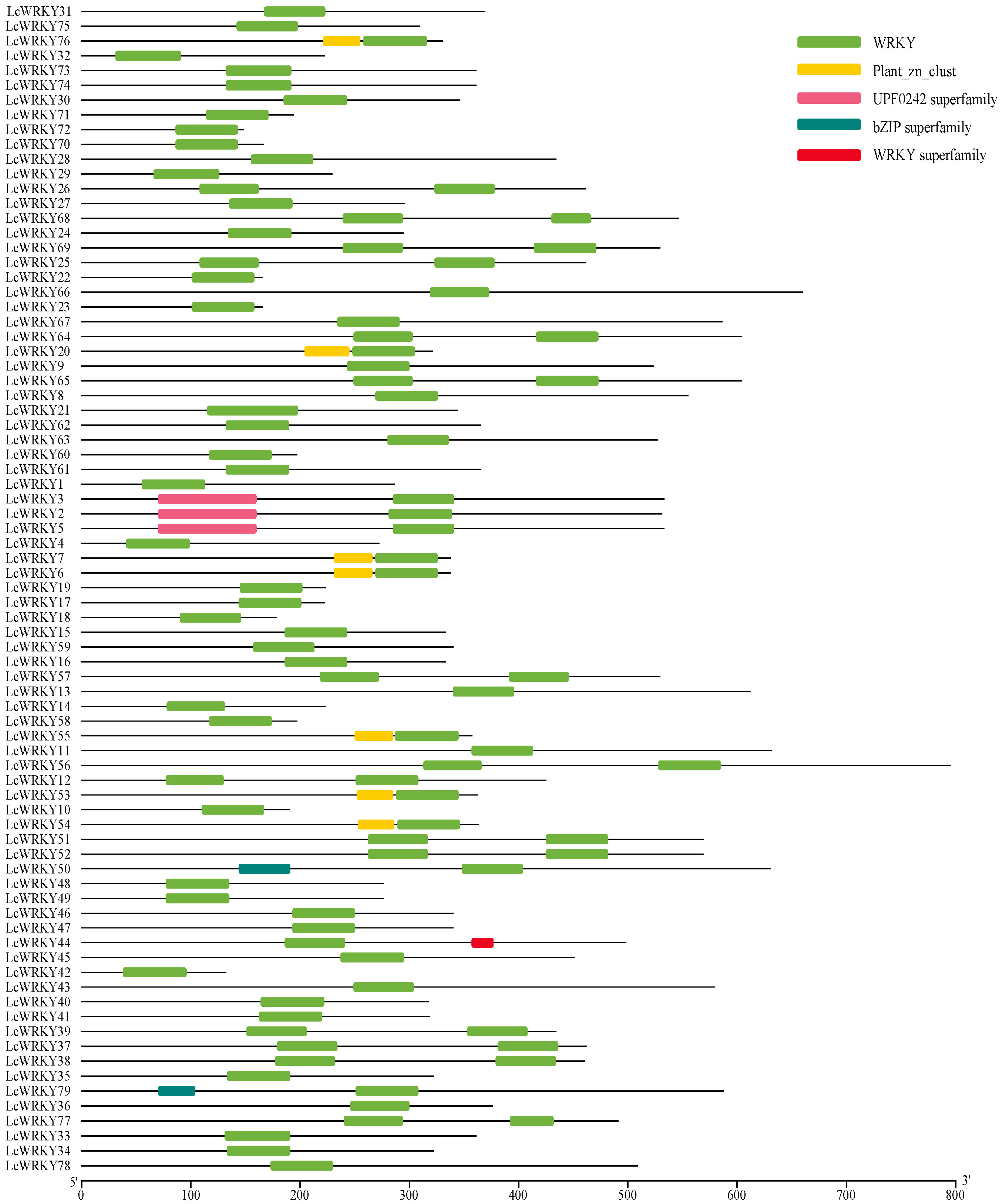 Plants 12 02131 g001