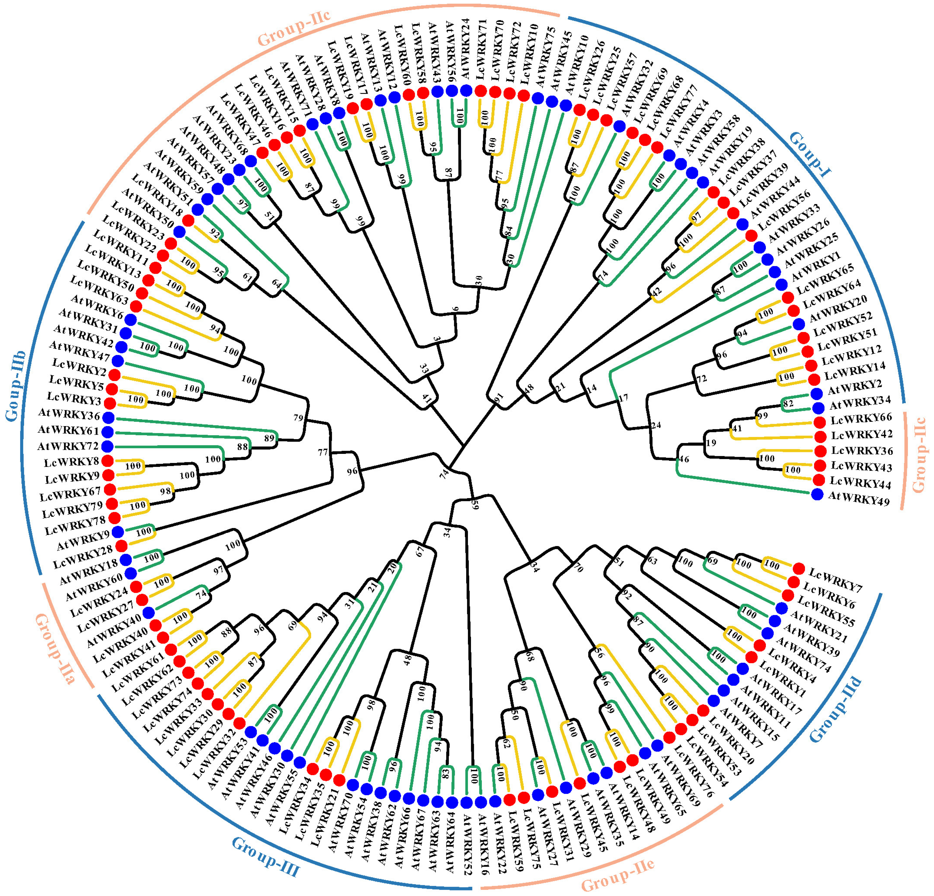 Plants 12 02131 g003