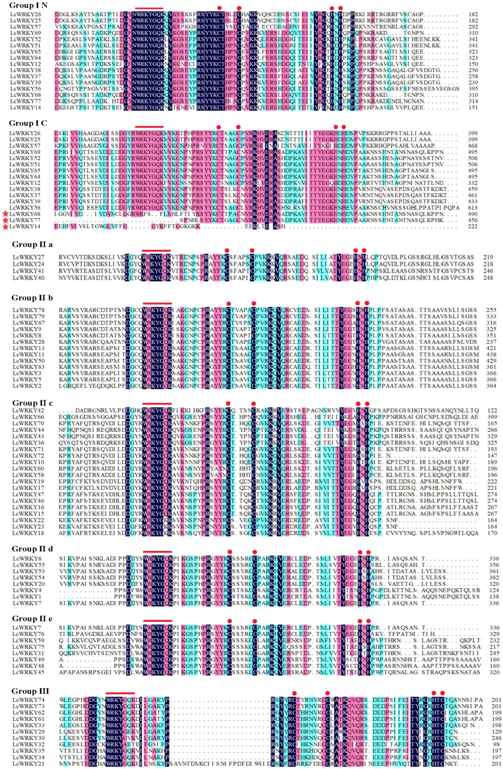Plants 12 02131 g004