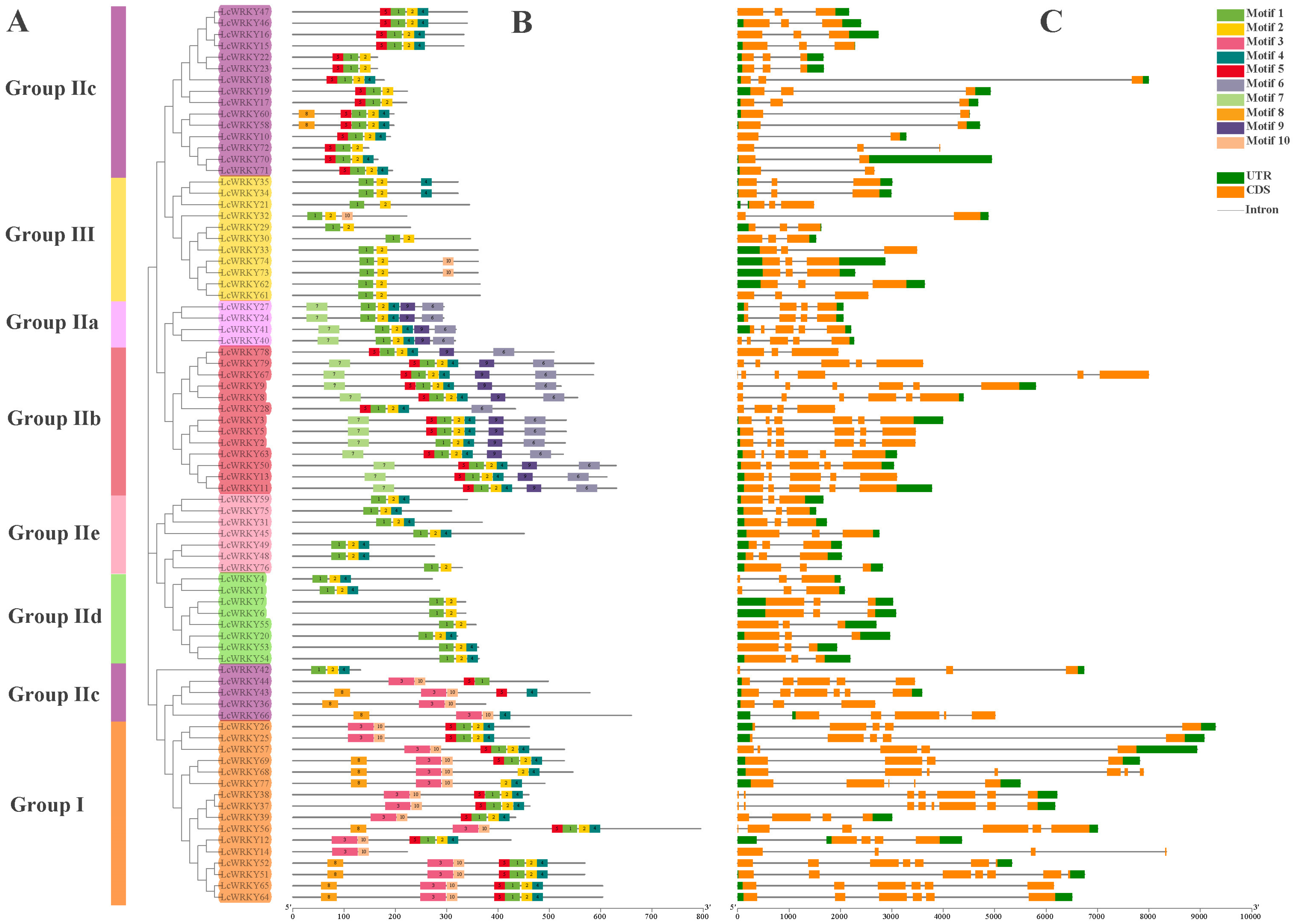 Plants 12 02131 g005