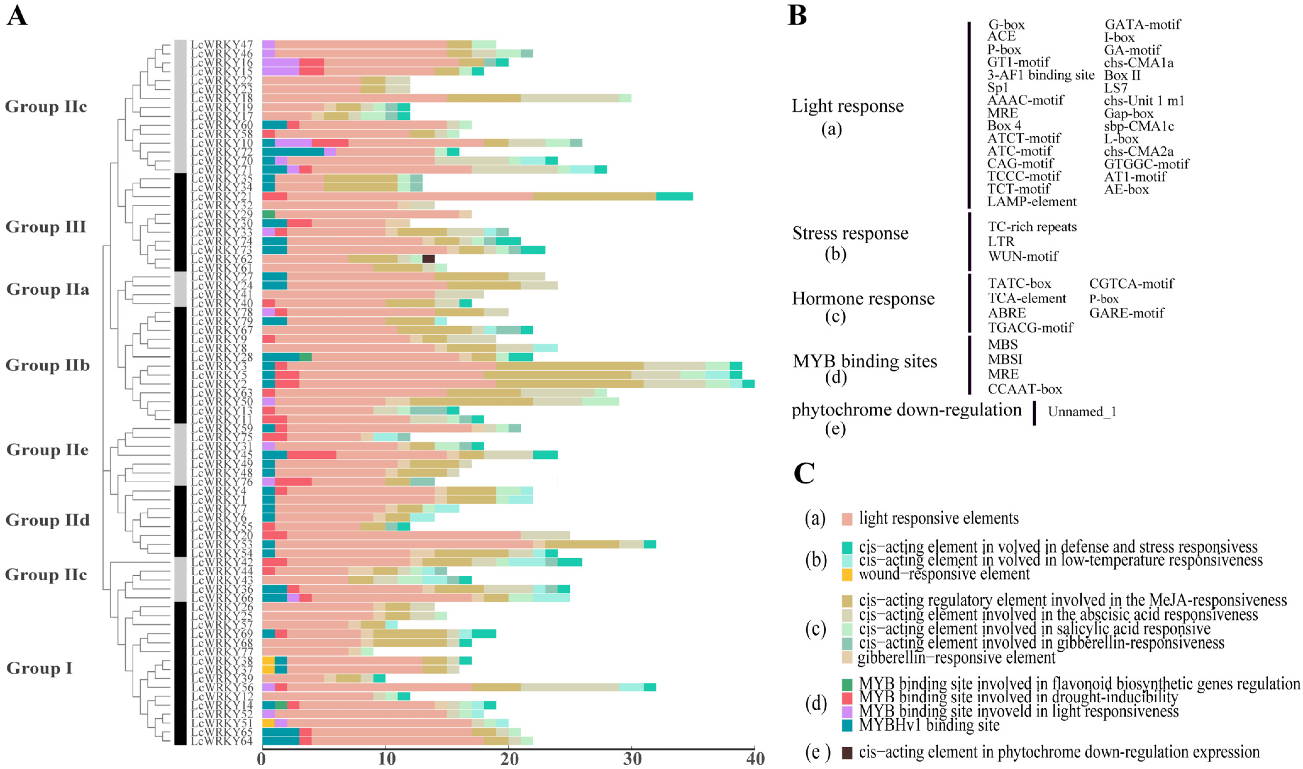 Plants 12 02131 g006