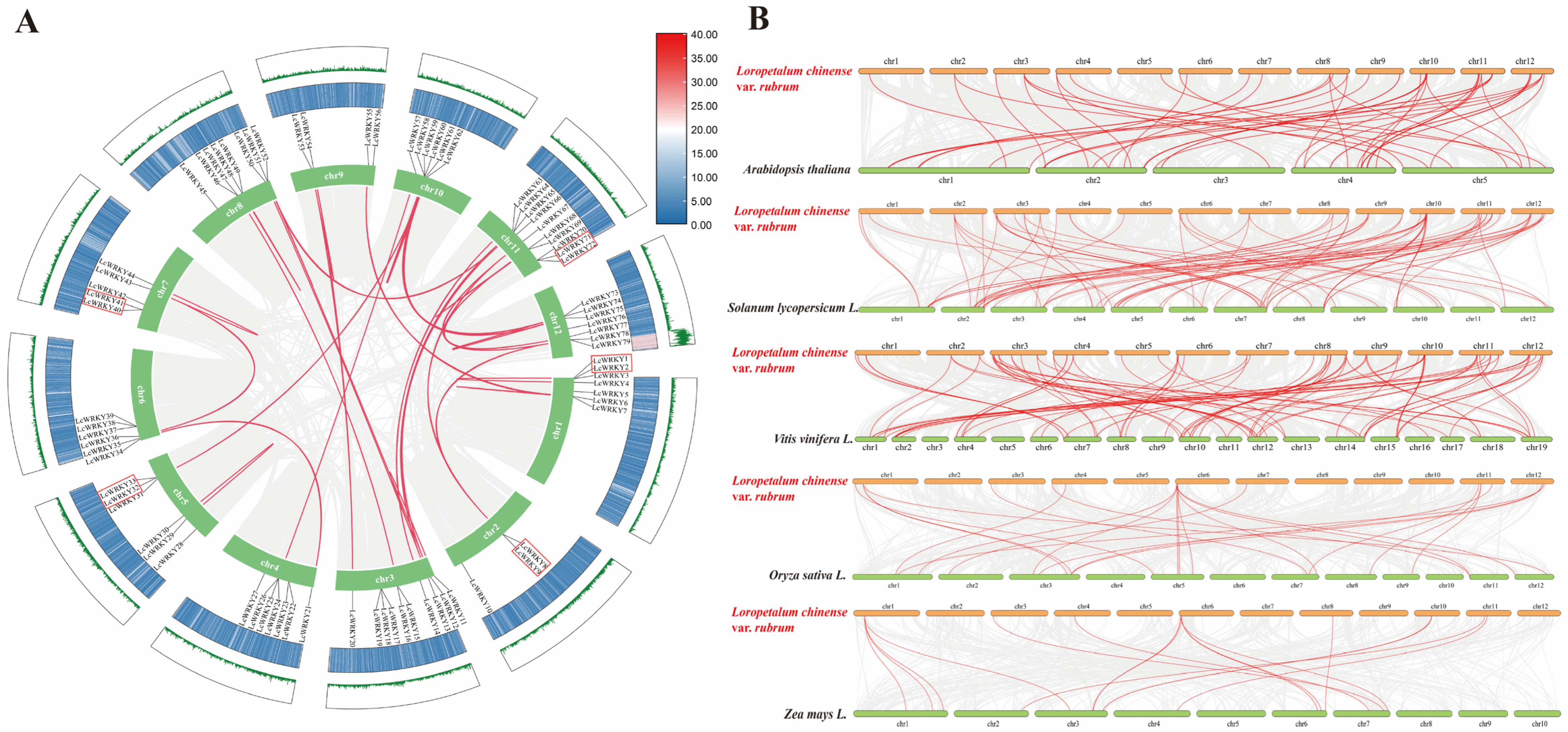 Plants 12 02131 g007