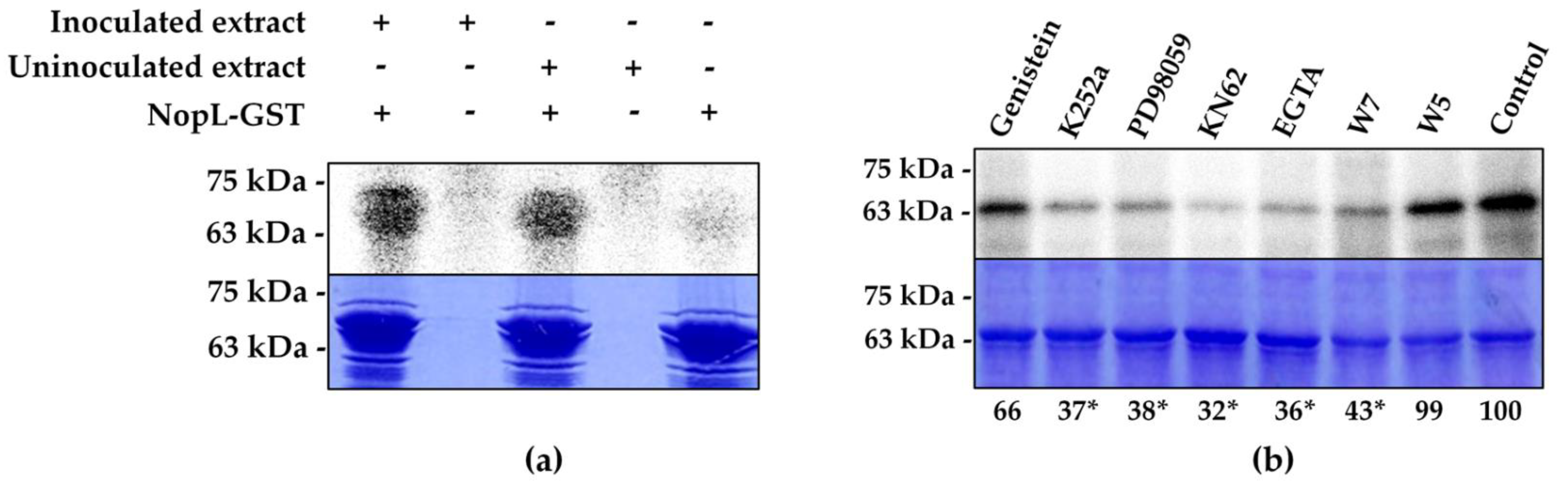 Plants 12 02133 g001