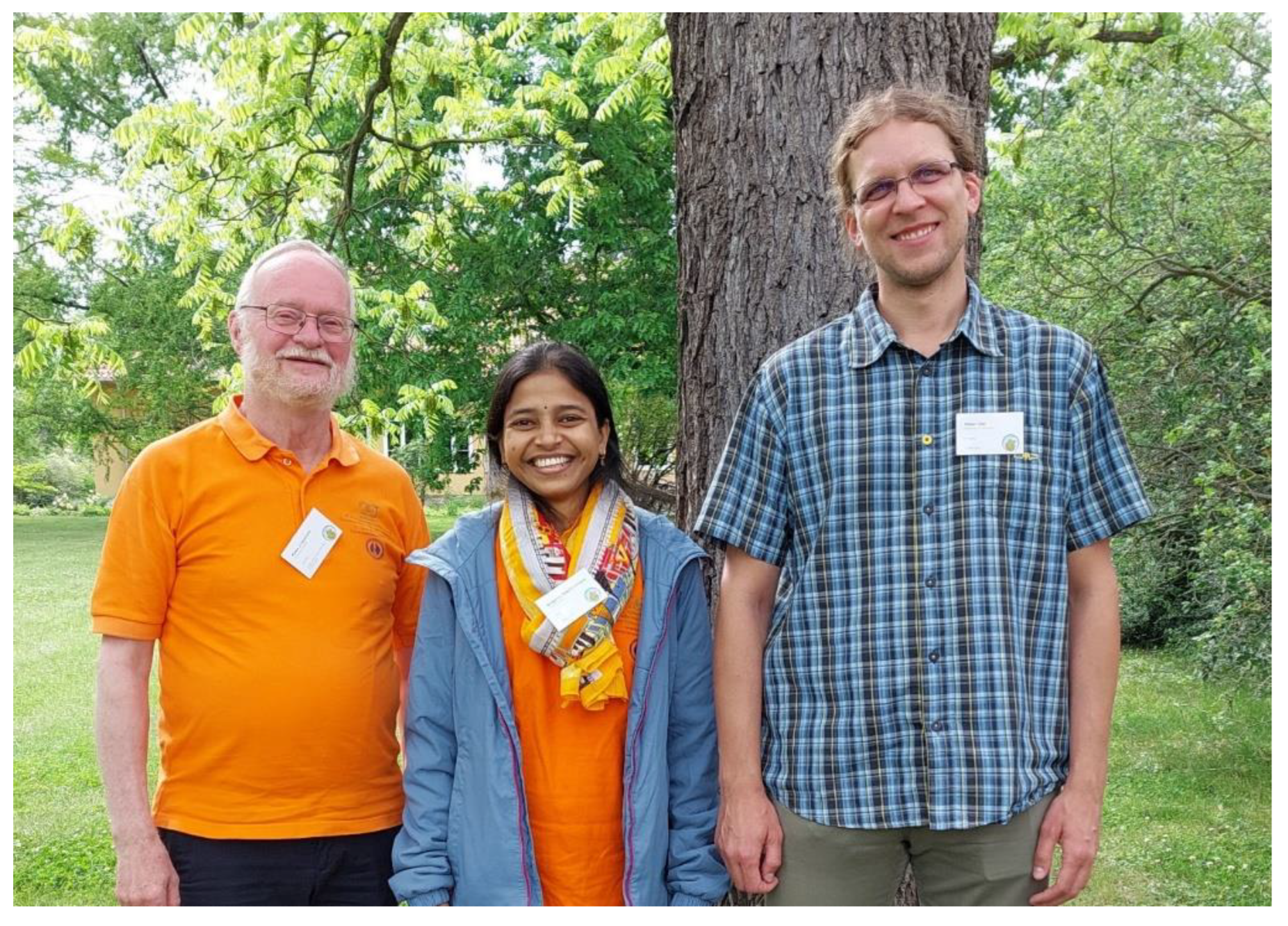 Plants 12 02134 g004