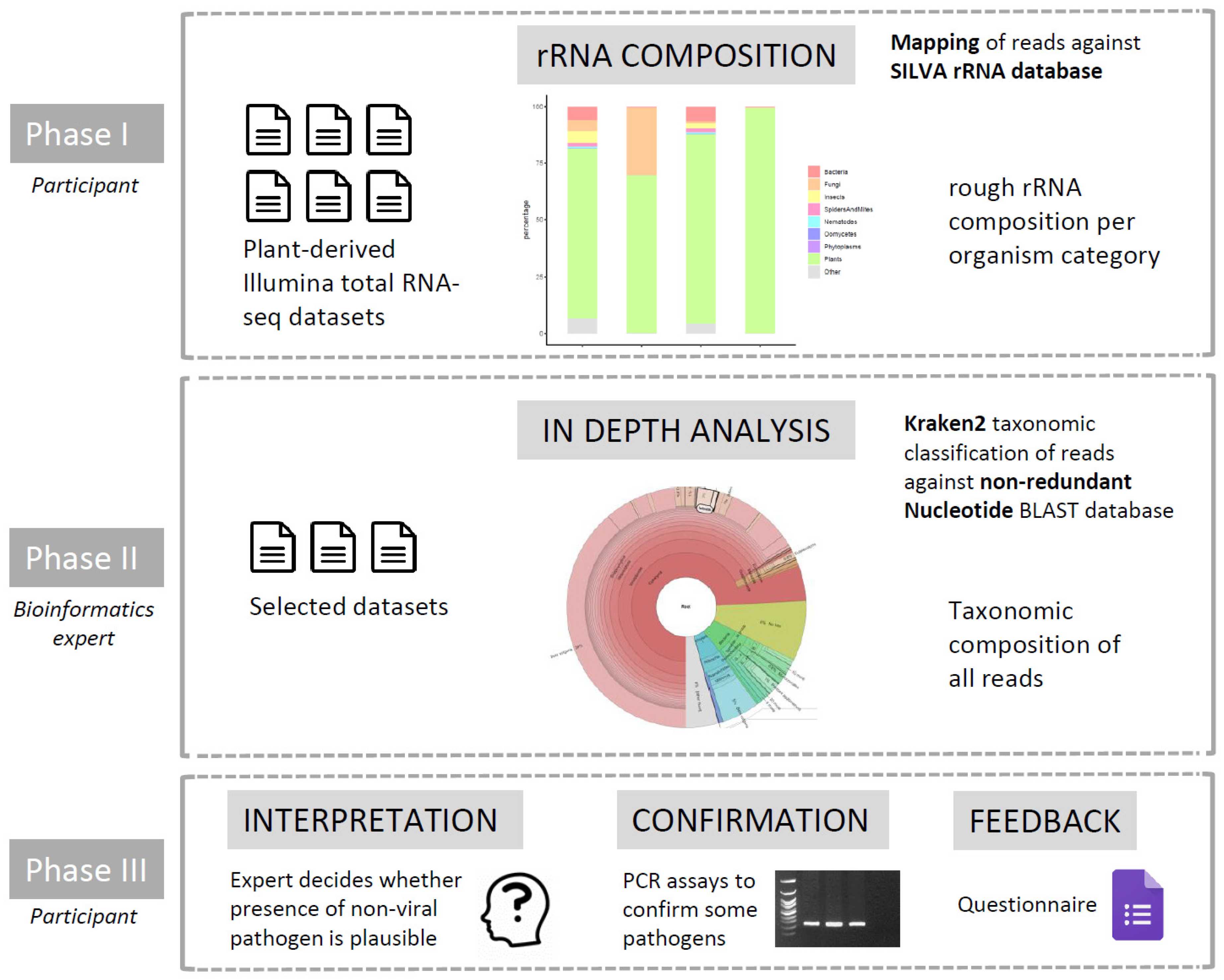 Plants 12 02139 g001