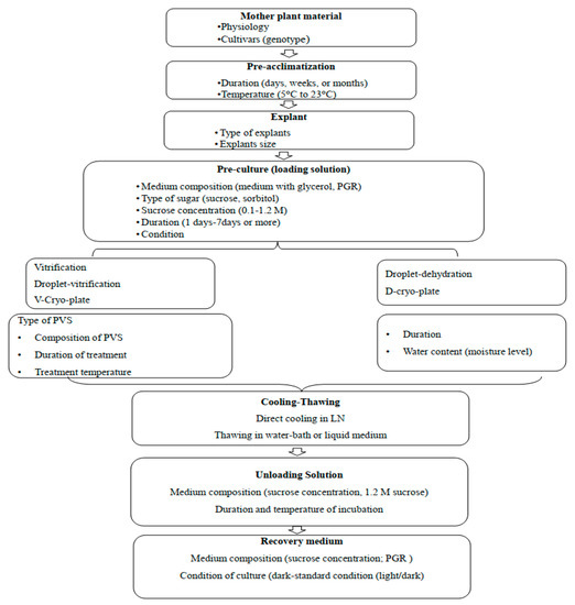 Plants 12 02143 g002