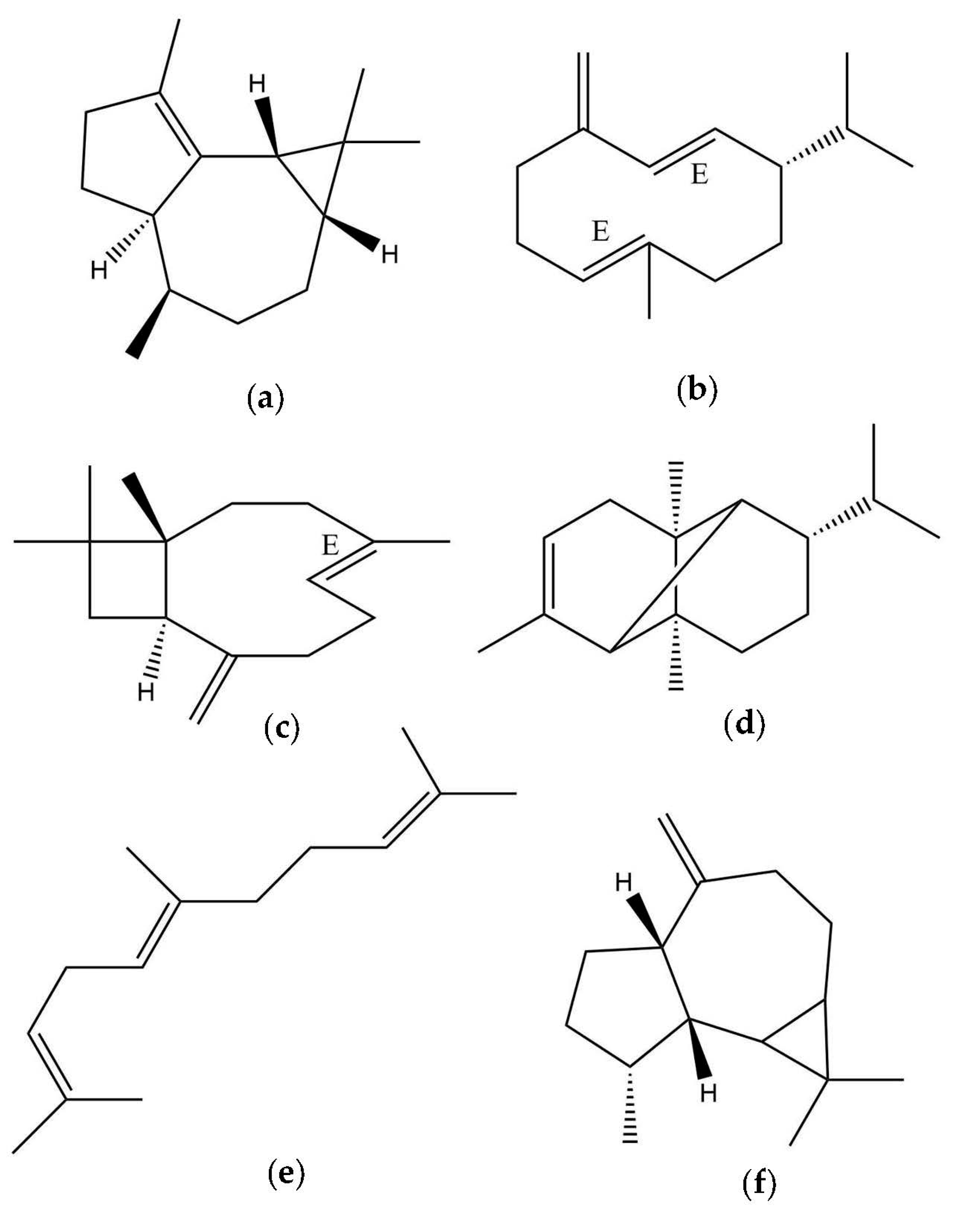 Plants 12 02155 g002