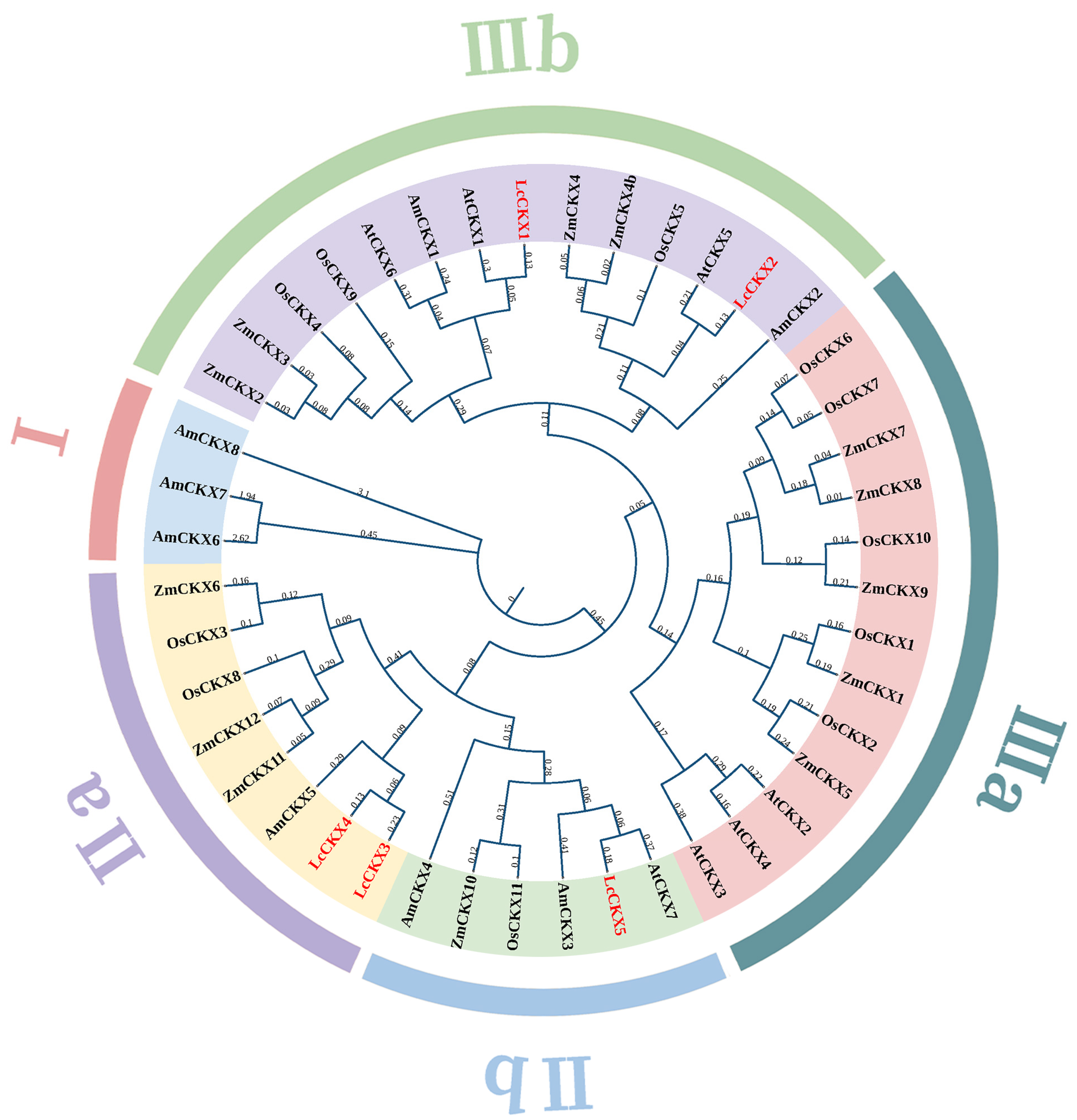 Plants 12 02157 g001
