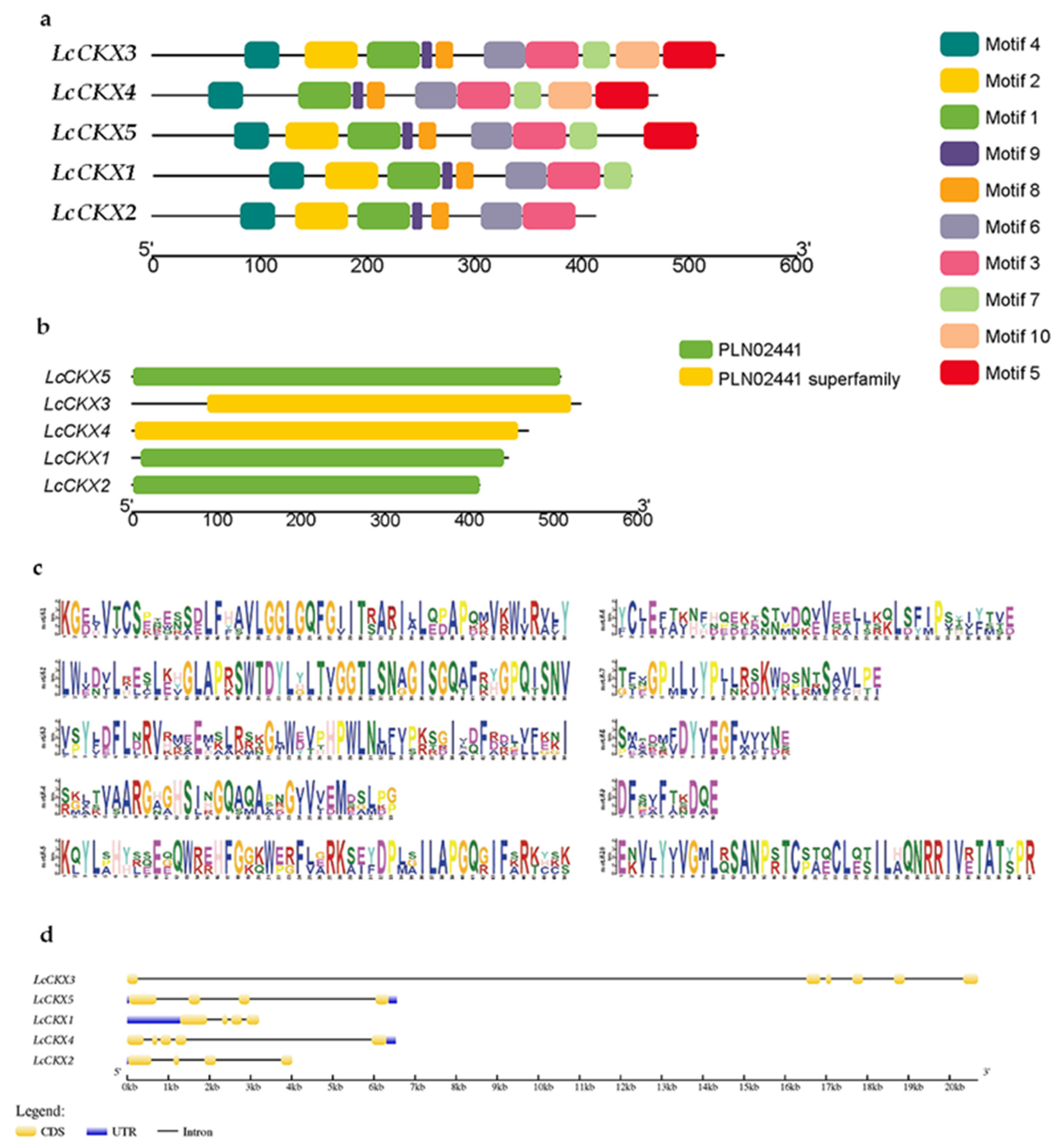 Plants 12 02157 g002