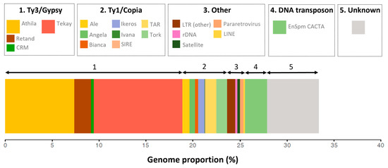 Plants 12 02159 g001