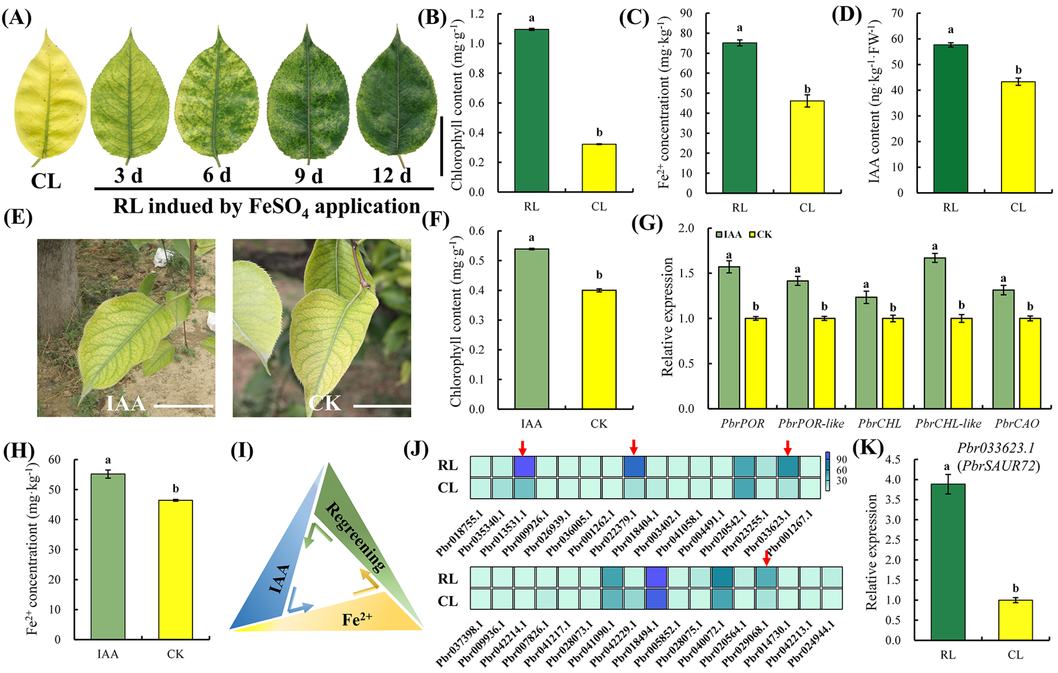 Plants 12 02173 g001